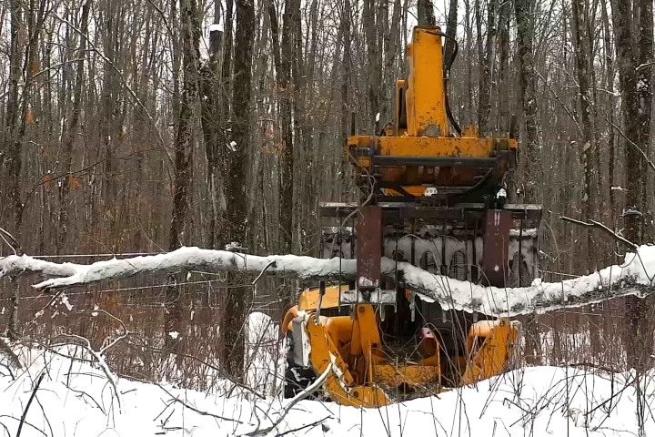 Upper Peninsula Maple Farm Facing Long Recovery After Storm Damage ...