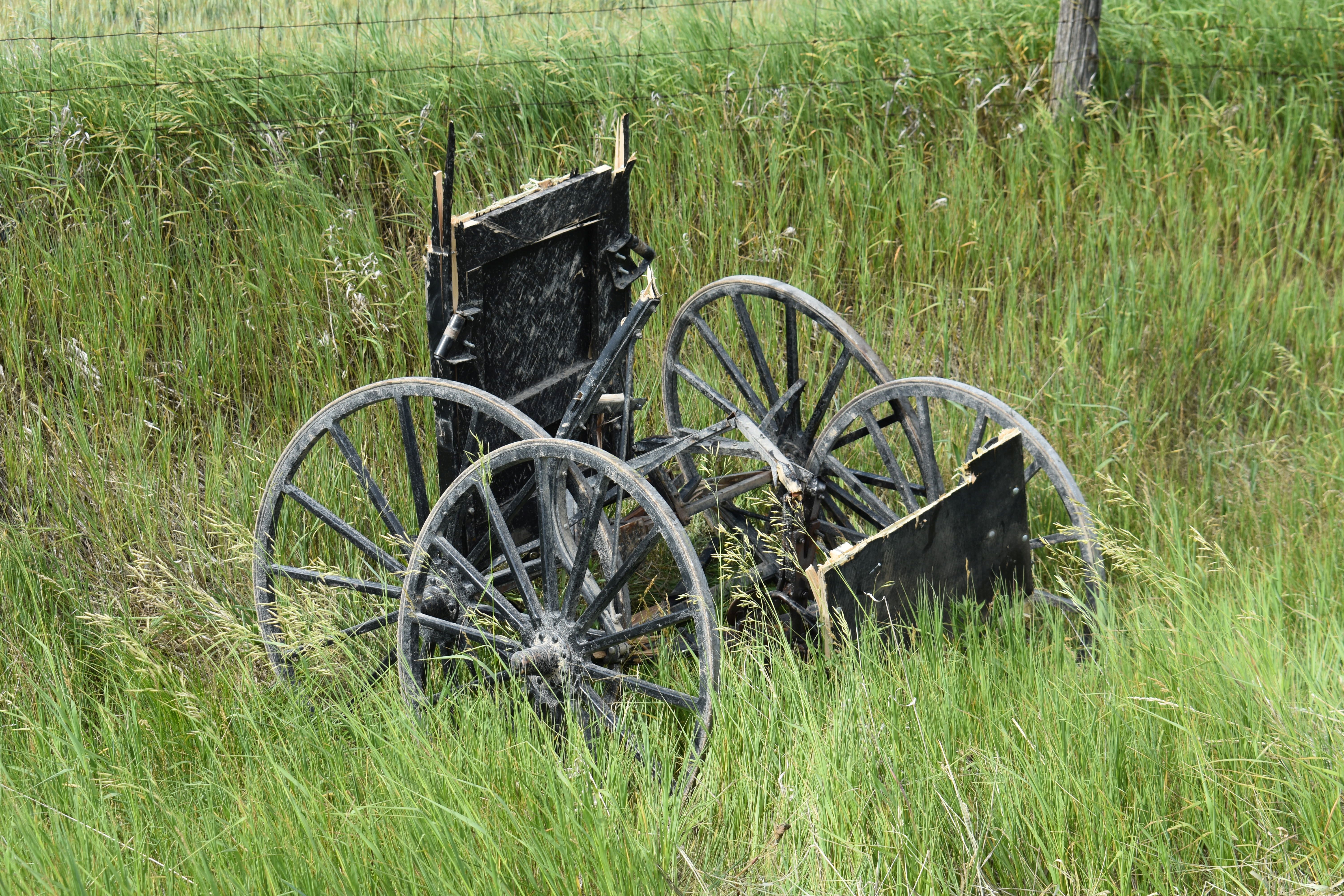 Car crashes into buggy in Gladwin Co., Amish woman in critical ...