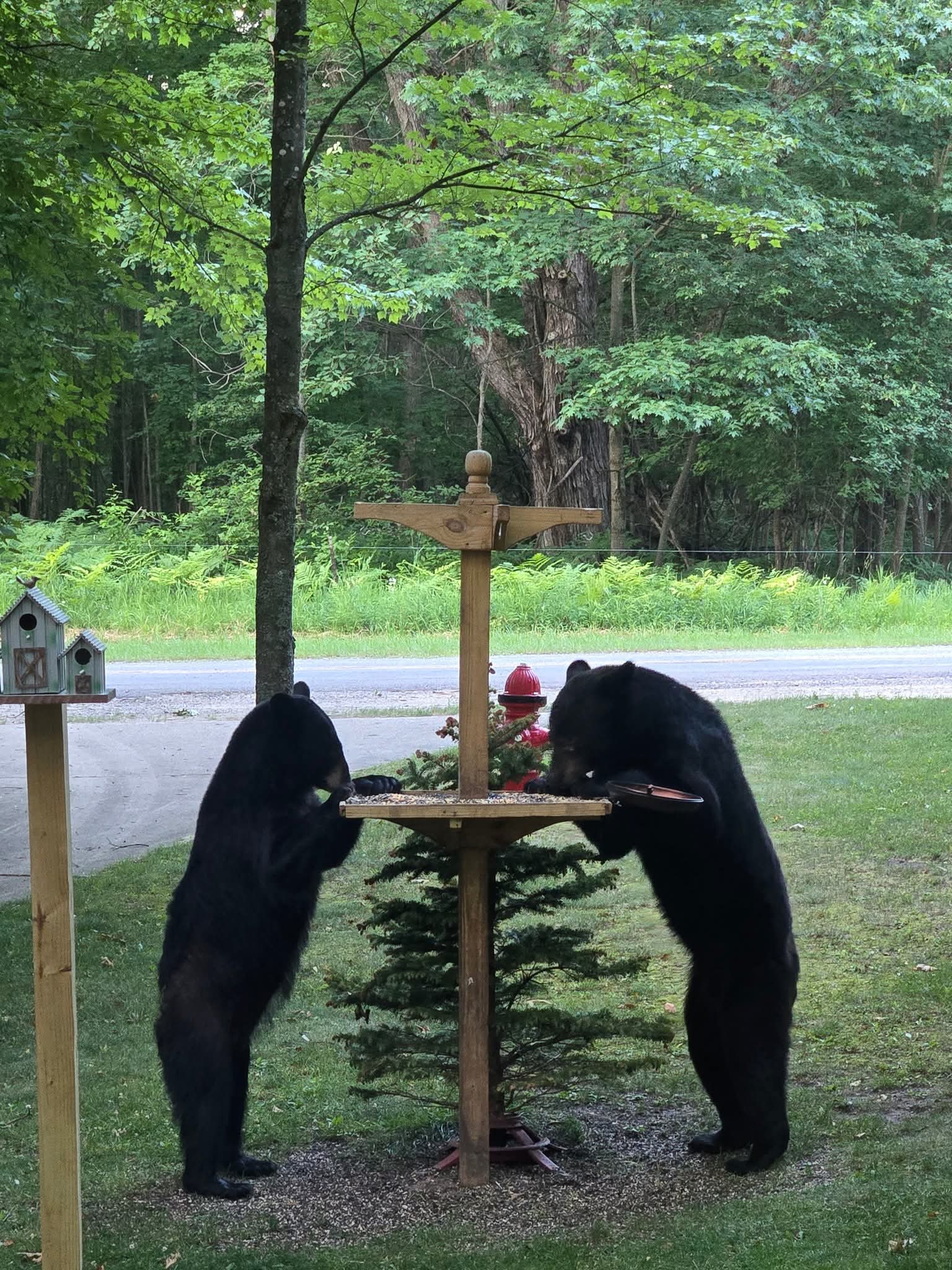 Enjoying our breakfast!