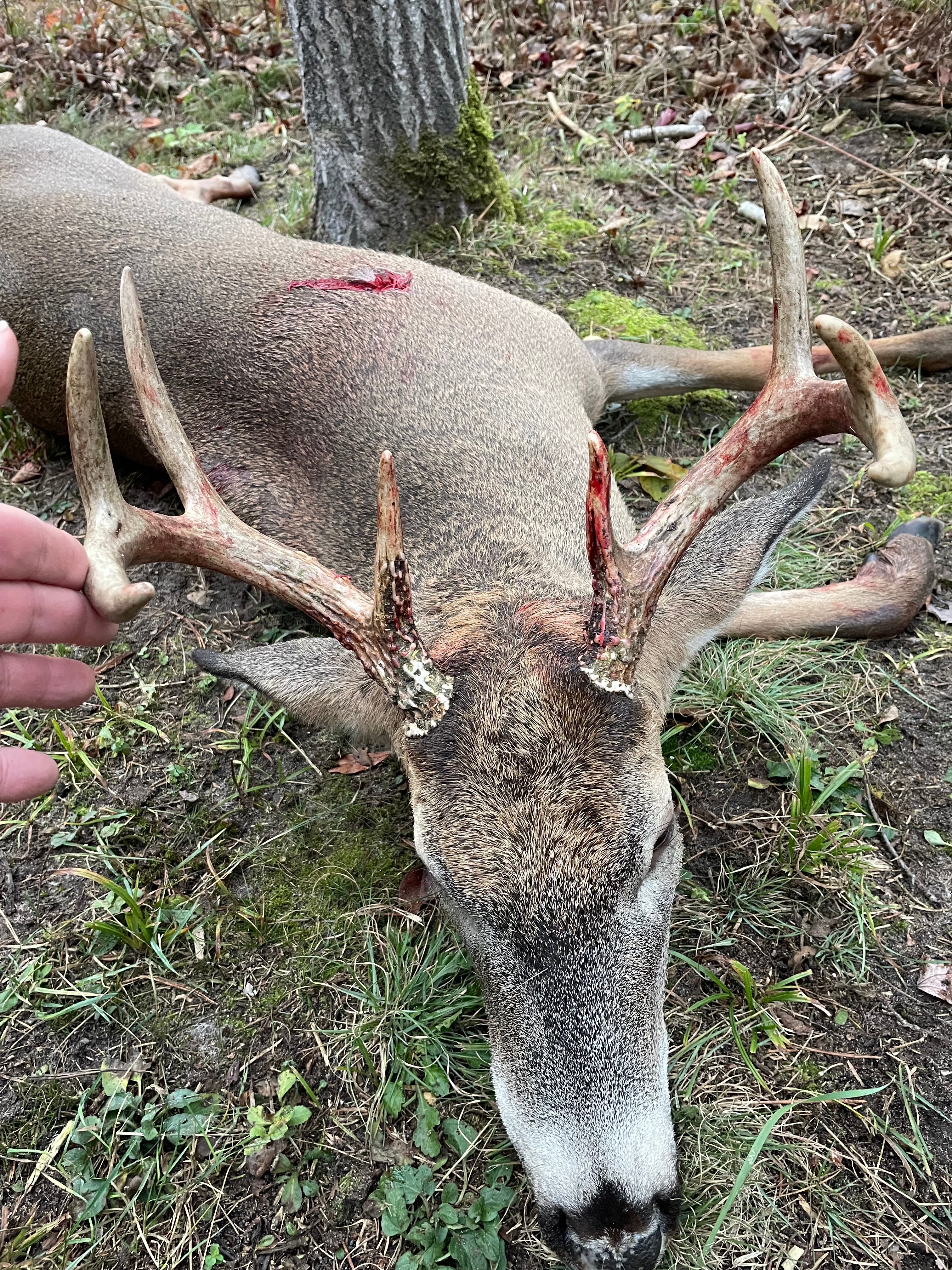 Lake County. 8 points used my crossbow.