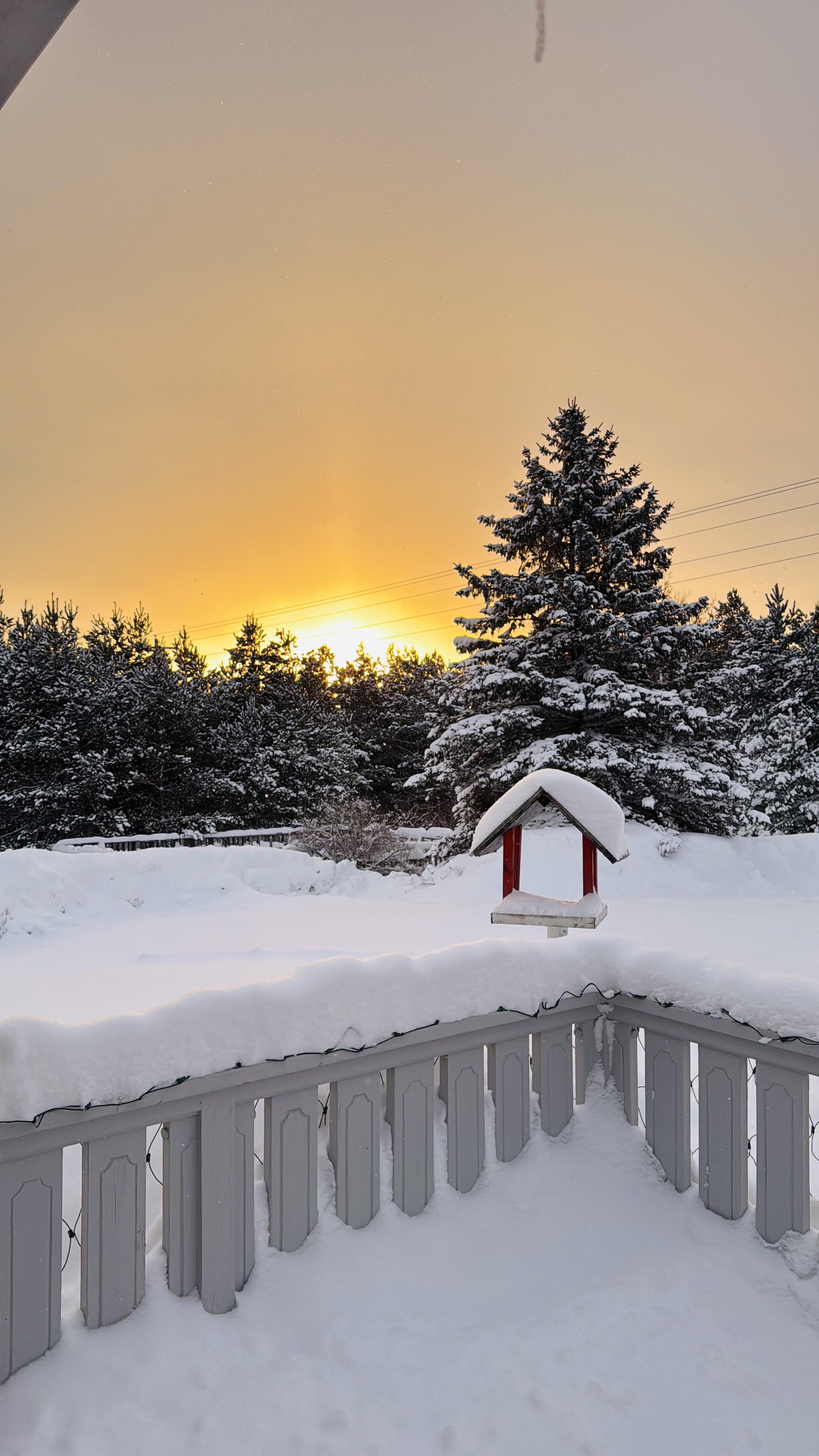 View from the porch!