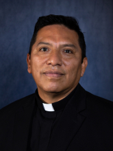 Priest suspended from Diocese of Gaylord, title removed pending investigation