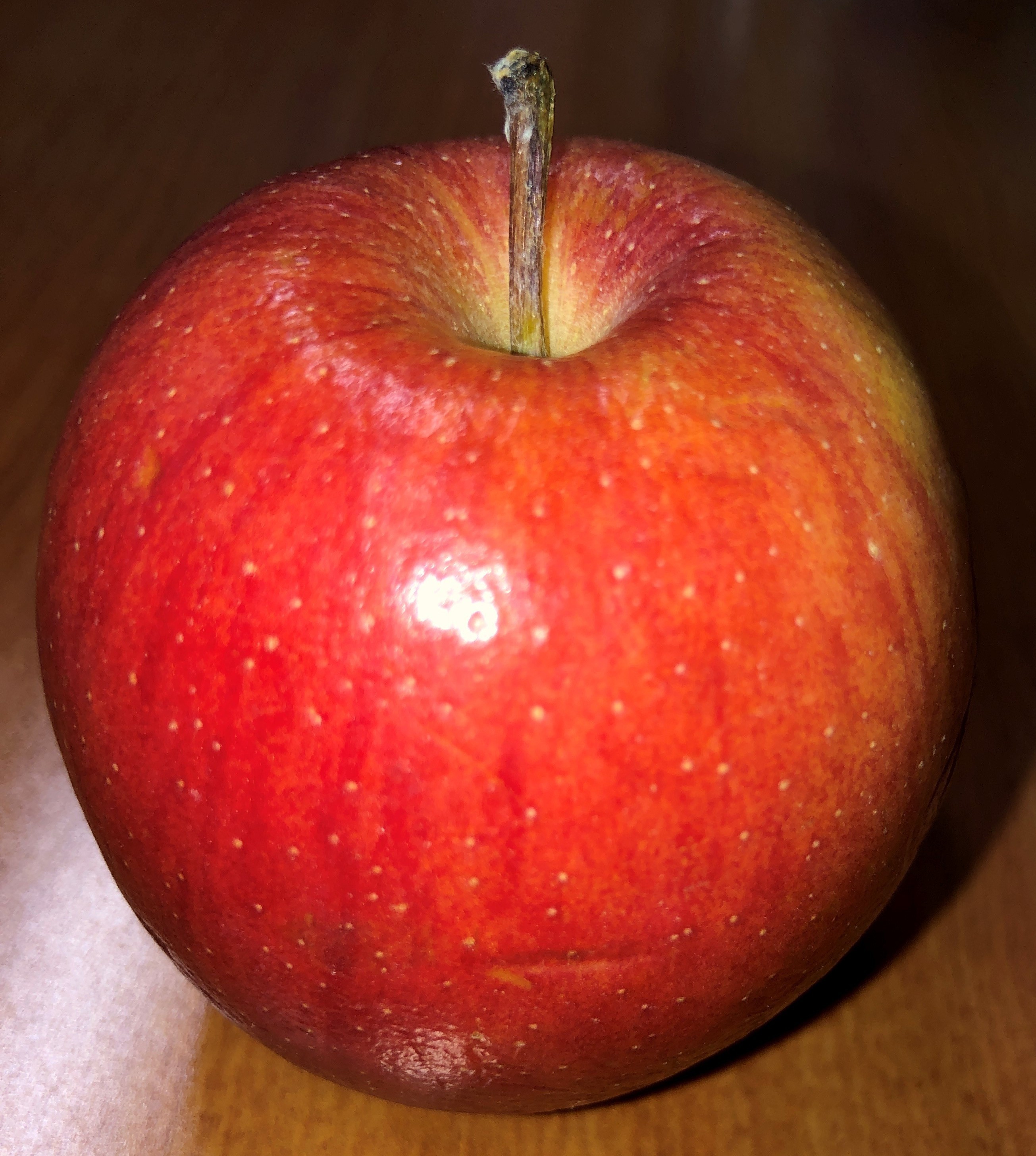 Doppler 9&10 STEM – My Apple is Brown!