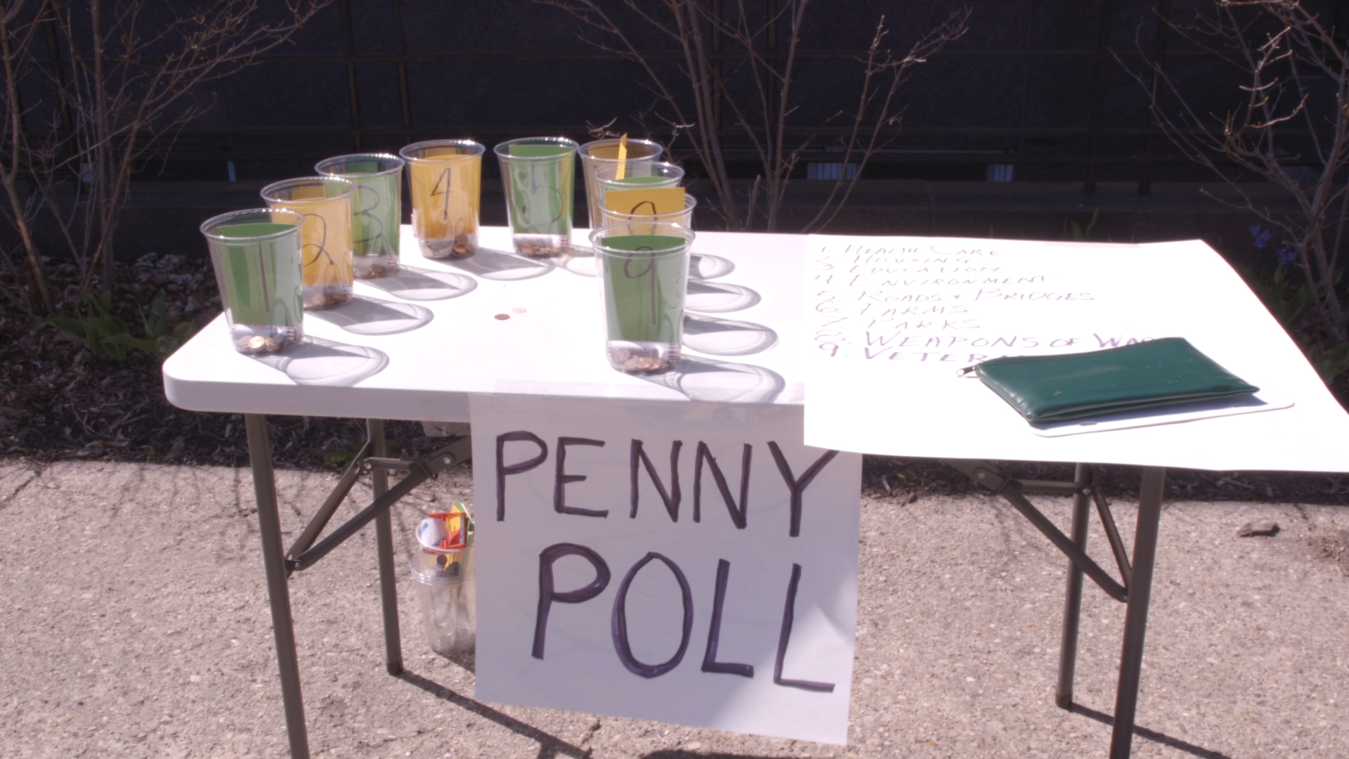 Penny poll in Traverse City asks the average person where they’d put their tax dollars