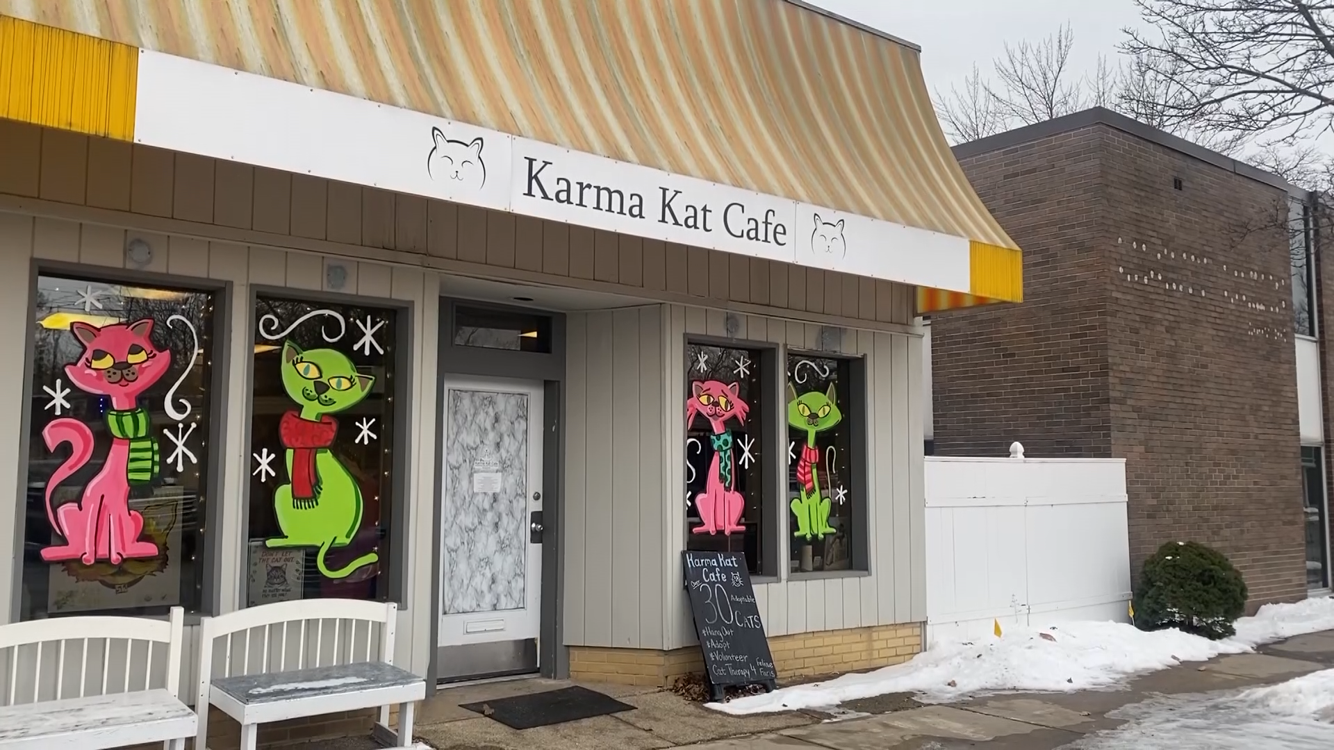 Karma Cat Cafe 1