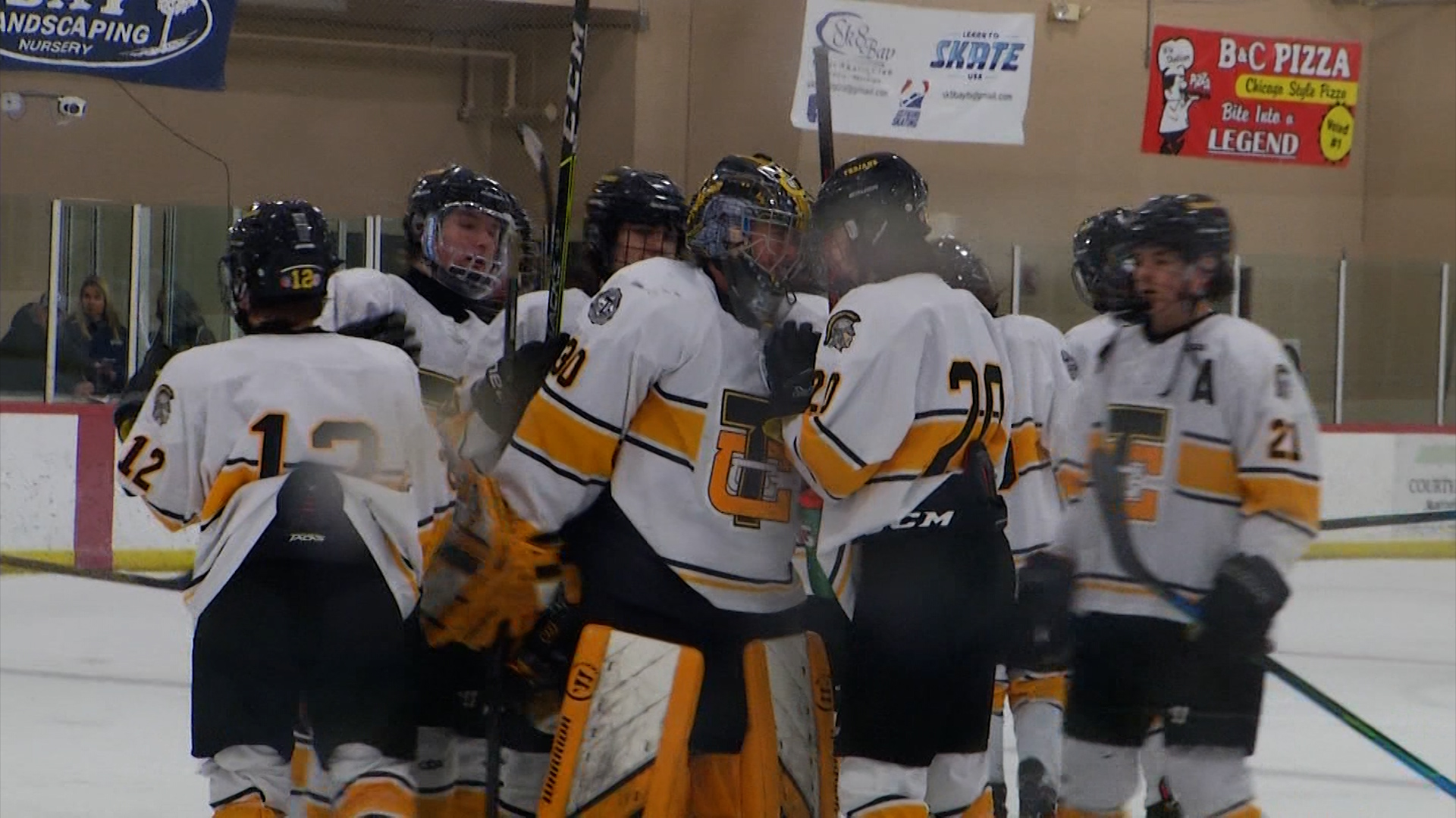 TC Central, Petoskey Set to Face Off in Div. 2 Hockey Regional