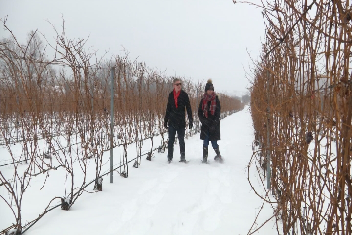 BrewVine: Brys Estate on Old Mission Peninsula