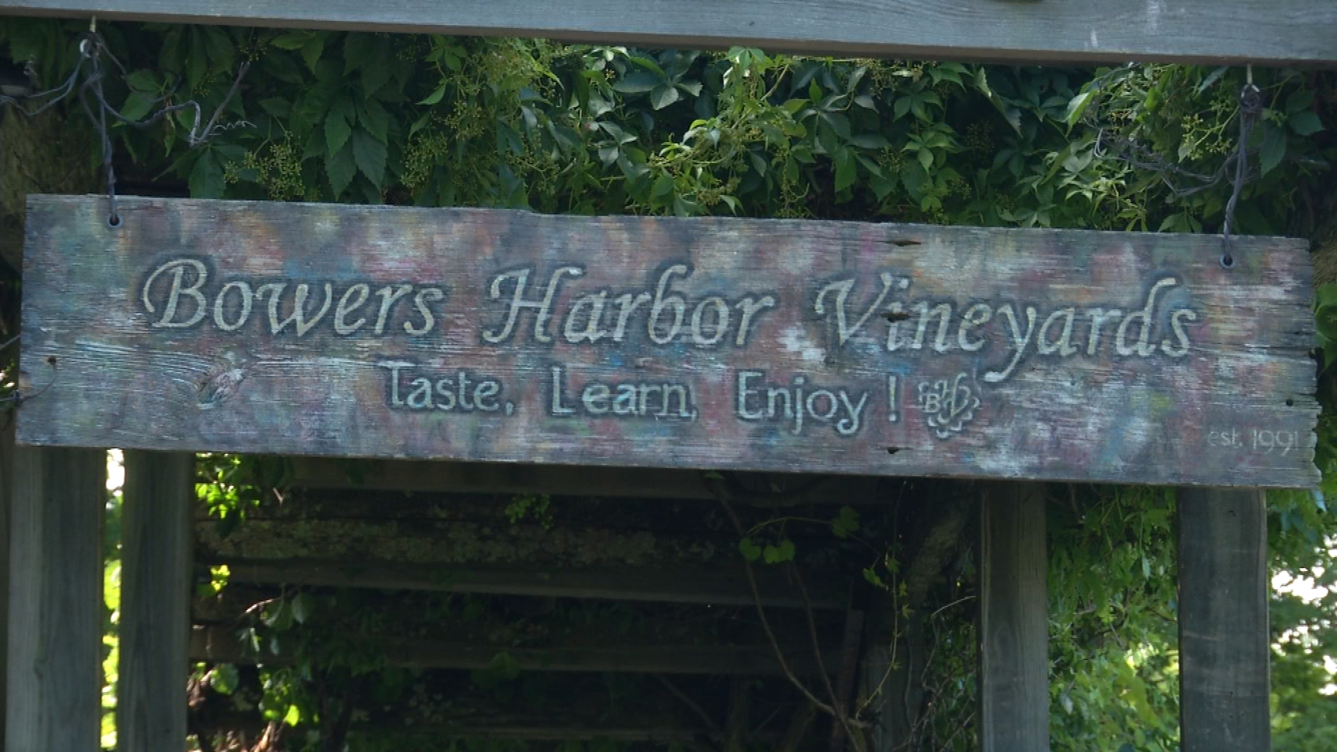 Bowers Harbor Vineyards 2