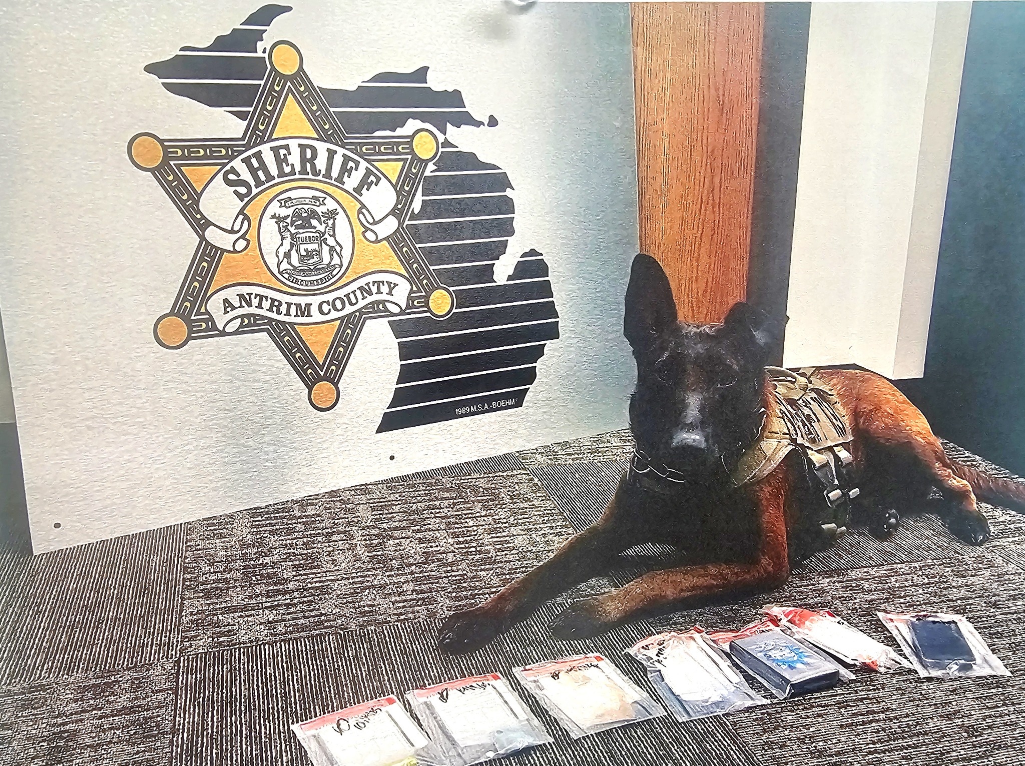 2 arrested in Antrim County after K-9 finds heroin and fentanyl in ...