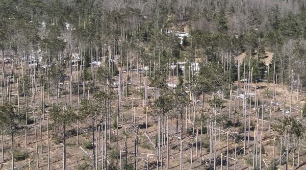 Northern Michigan to get $14 million for ice storm recovery efforts ...