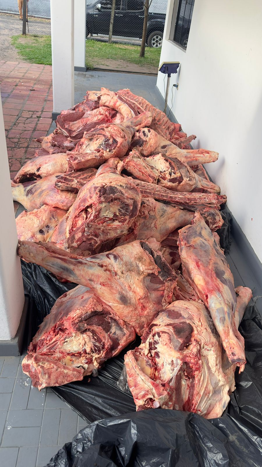 Caen más de dos toneladas de carne presuntamente ingresadas de contrabando
