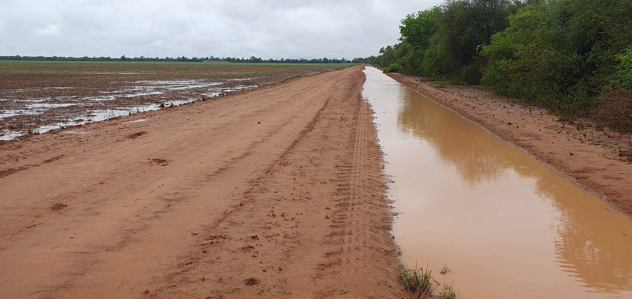 Breves lluvias alivian temporalmente sequ a del Chaco Clima