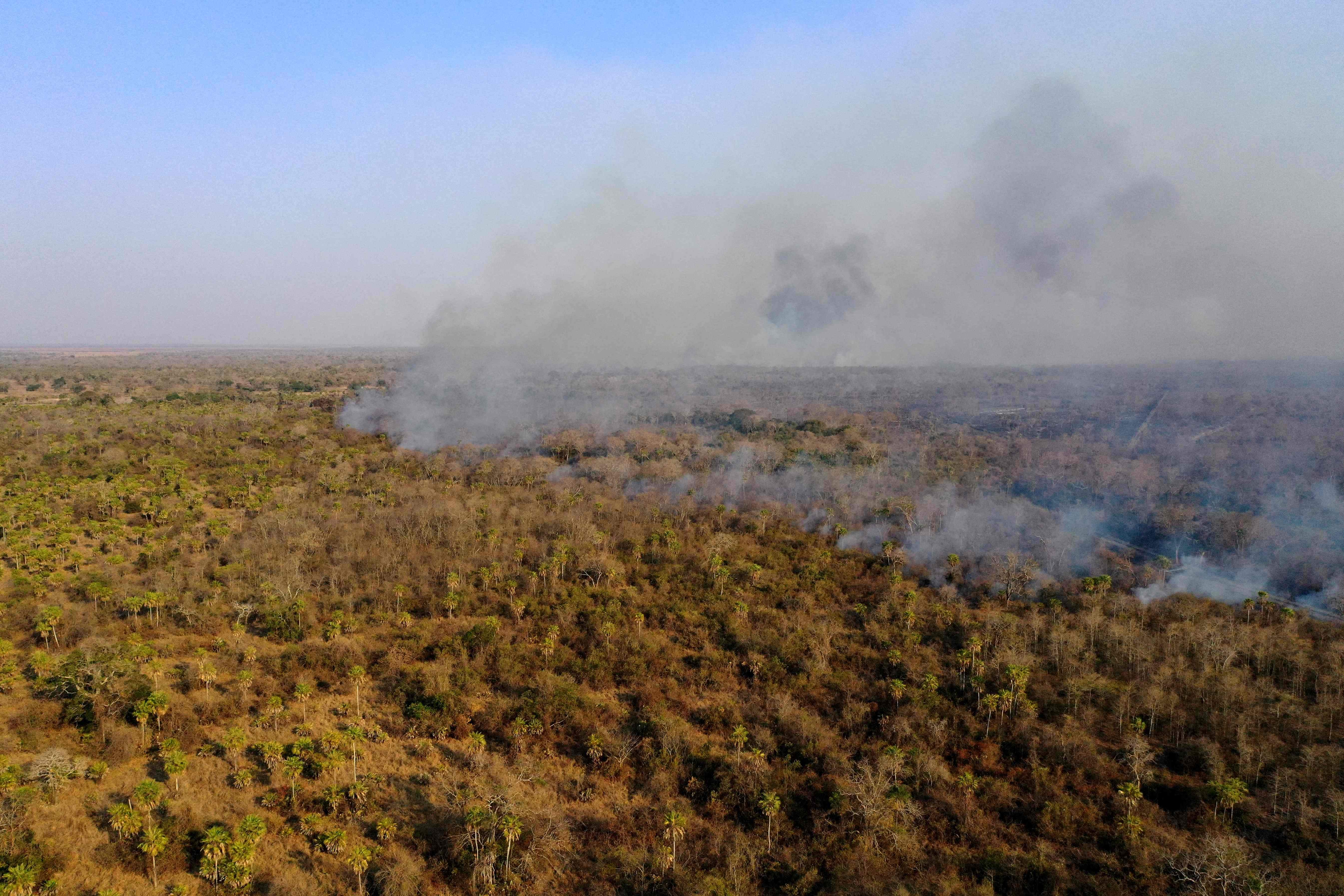 Bolivia: Cerca De Un Millón De Hectáreas Dañadas Por Incendios - Mundo ...