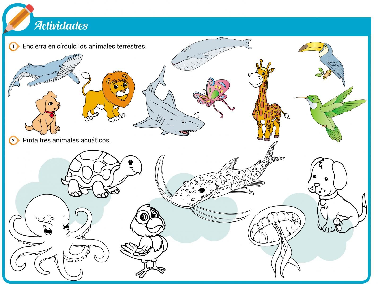 Animales acuáticos y terrestres - Escolar - ABC Color