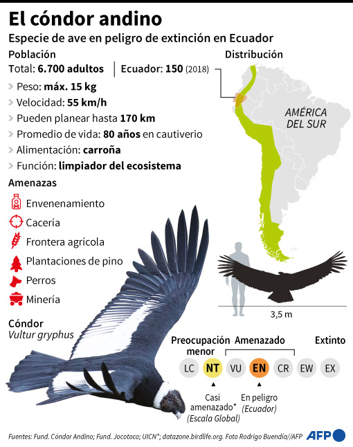 Cuanto Es 1400 Euros En Pesos Colombianos