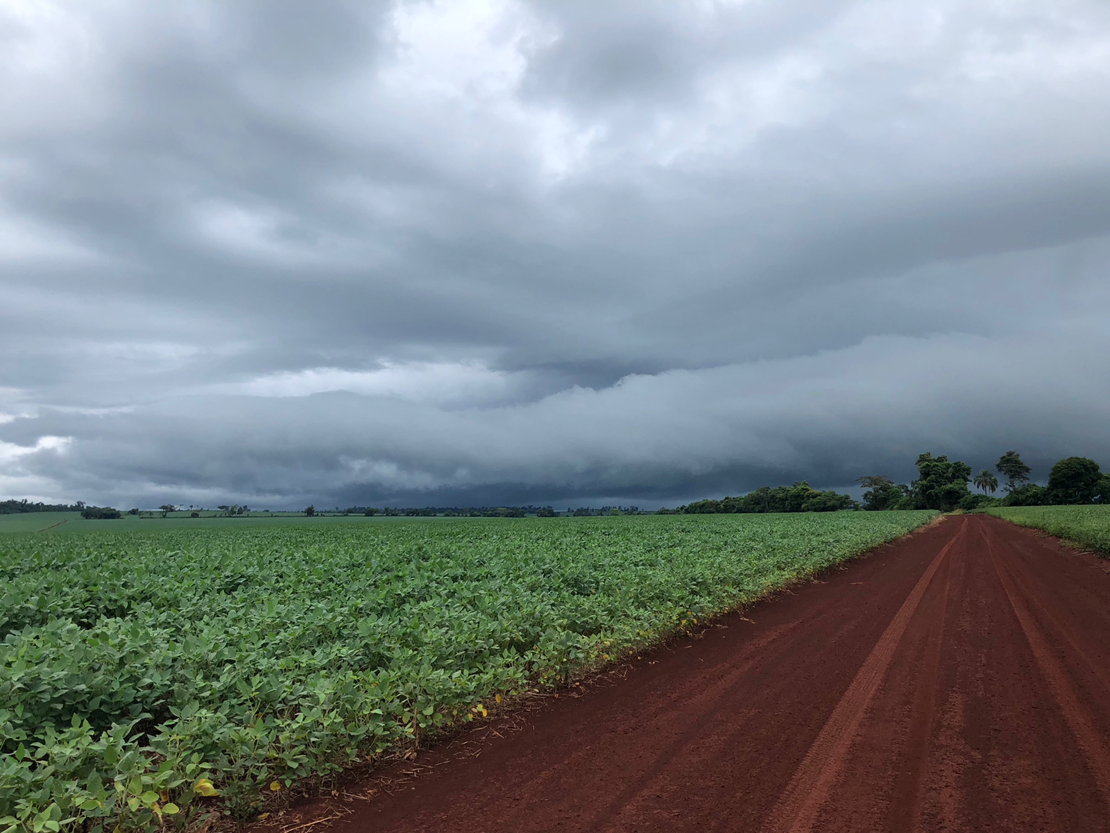 Meteorología: pronostican más lluvias dispersas para este jueves en Paraguay