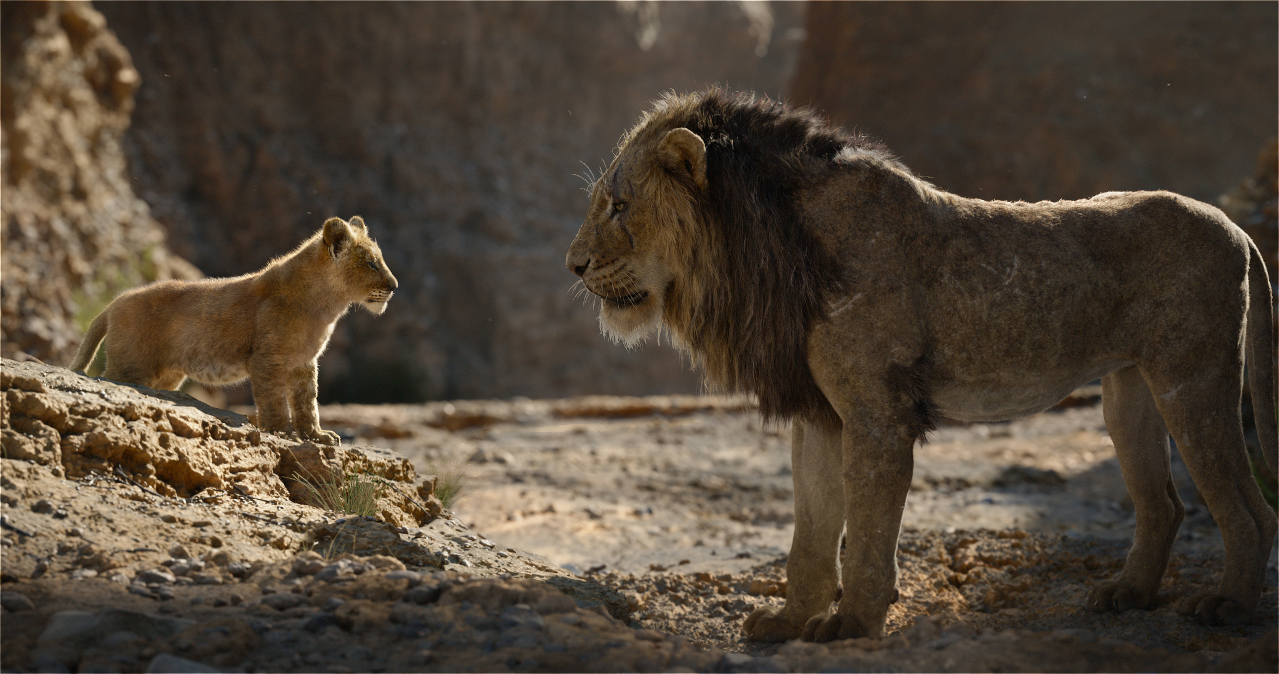 El Rey León, de Disney – Tráiler oficial #1 (Subtitulado) 