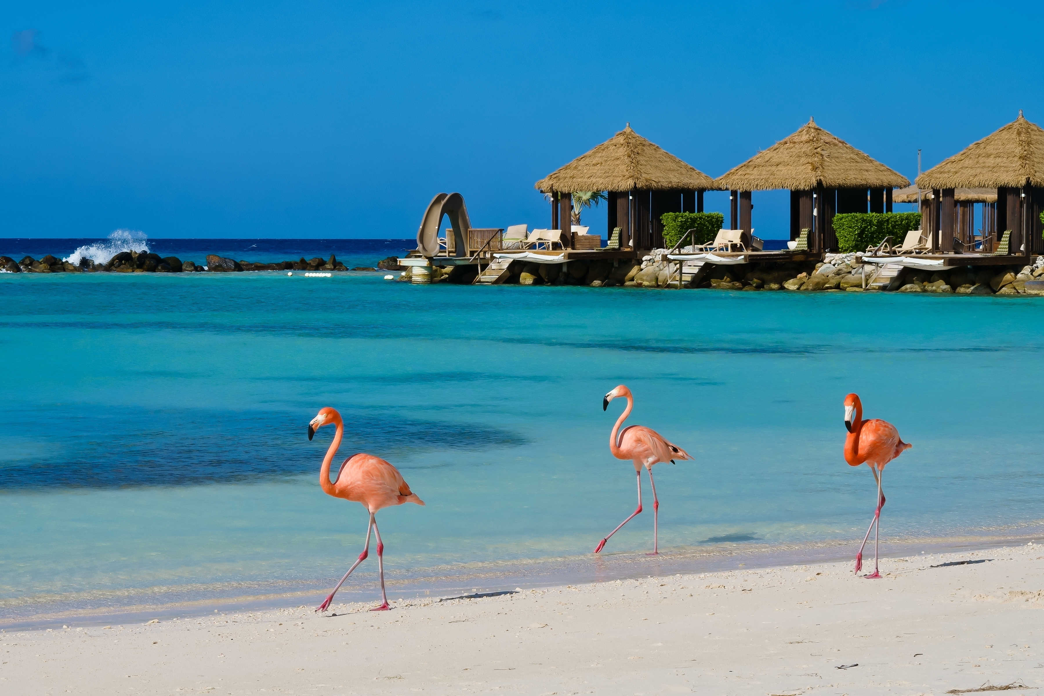 Aruba todo incluido desde Colombia - LUMO Travels