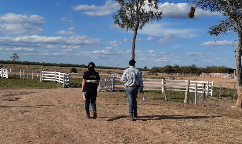 Intervienen establecimientos ganaderos en el Chaco Nacionales