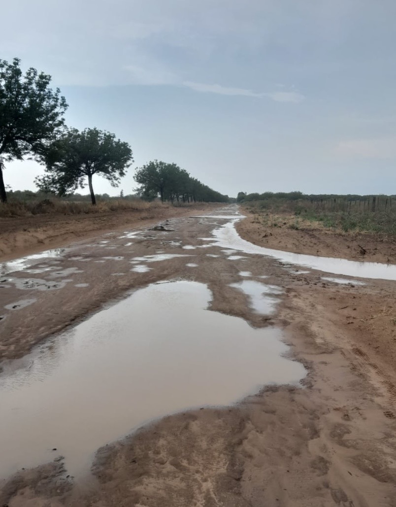 Esperadas lluvias llegan al Chaco central Noticias del Chaco