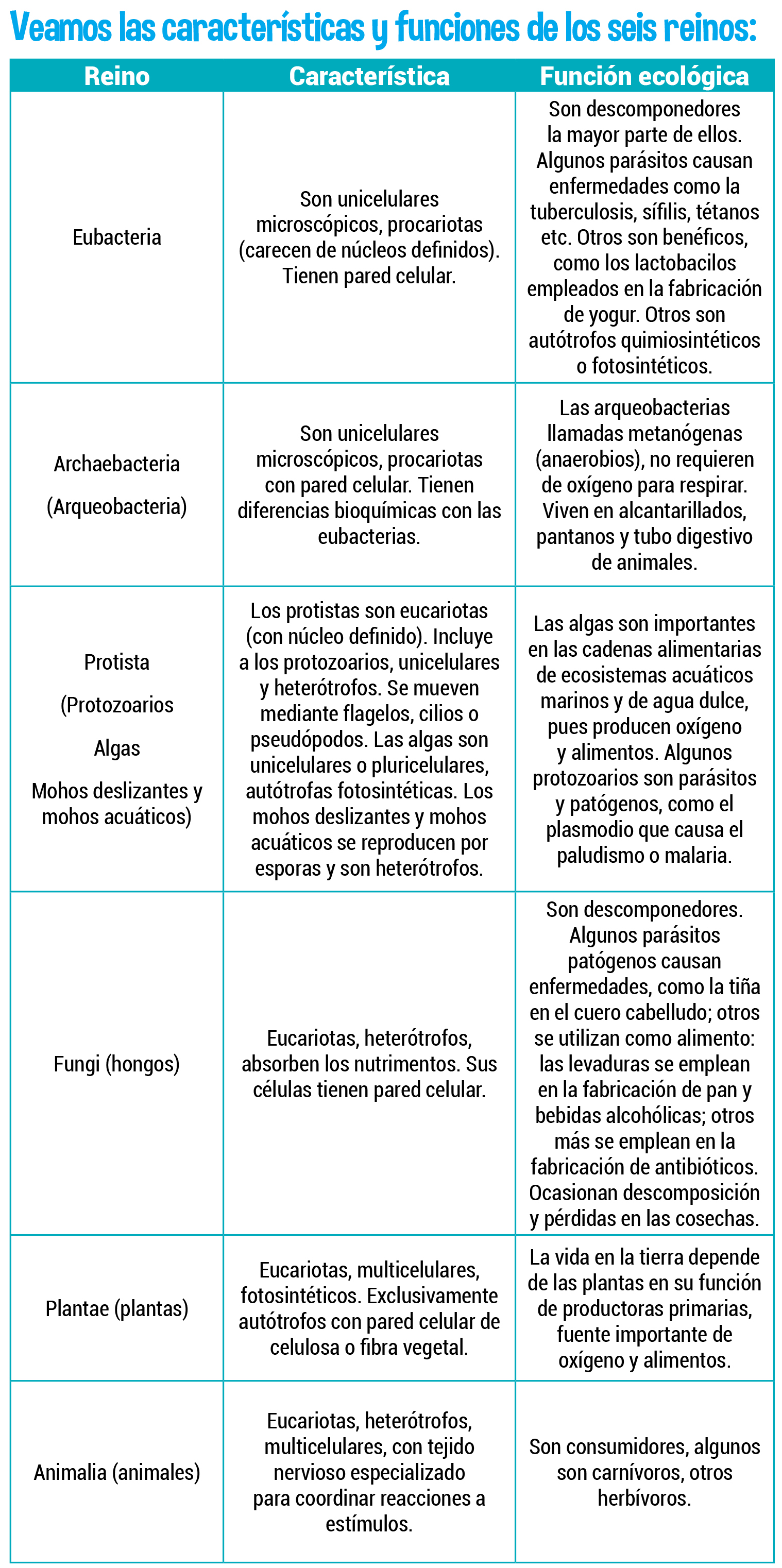Los reinos de los seres vivos - Escolar - ABC Color