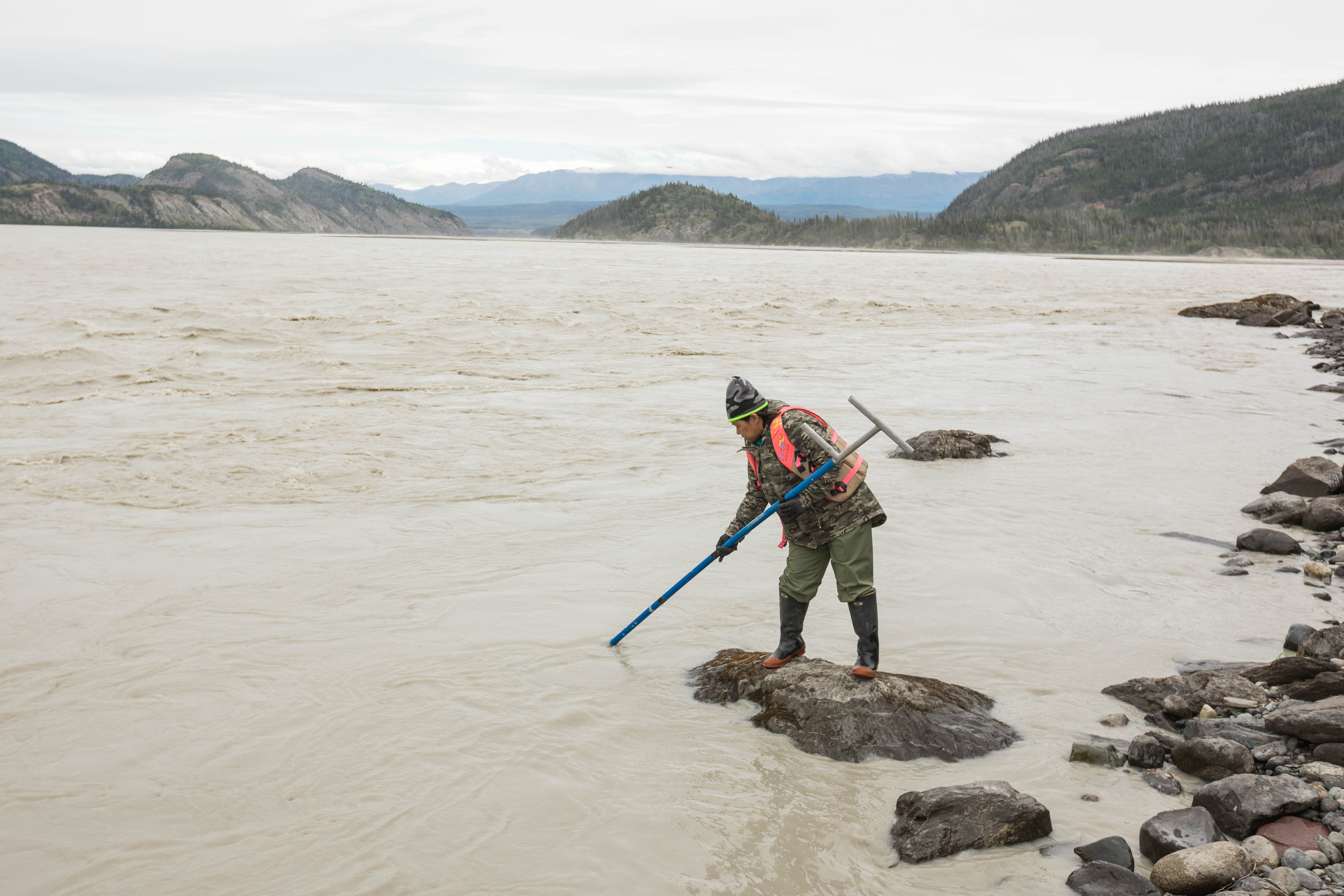 chitina dip netting fish counts Dipnetters will get 24 hours in early June to scoop sockeyes out of the  Copper River