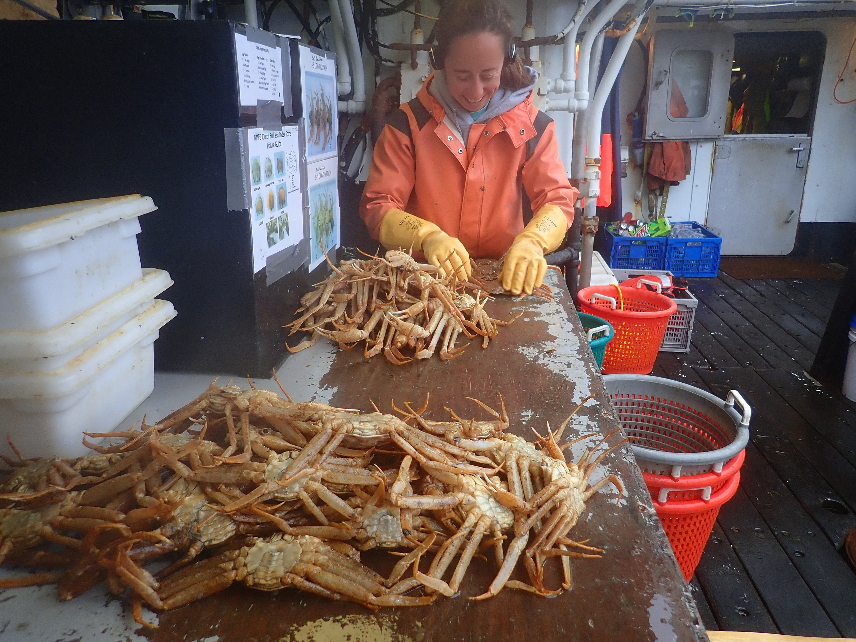 Fishing council rejects Alaska emergency red king crab rule that