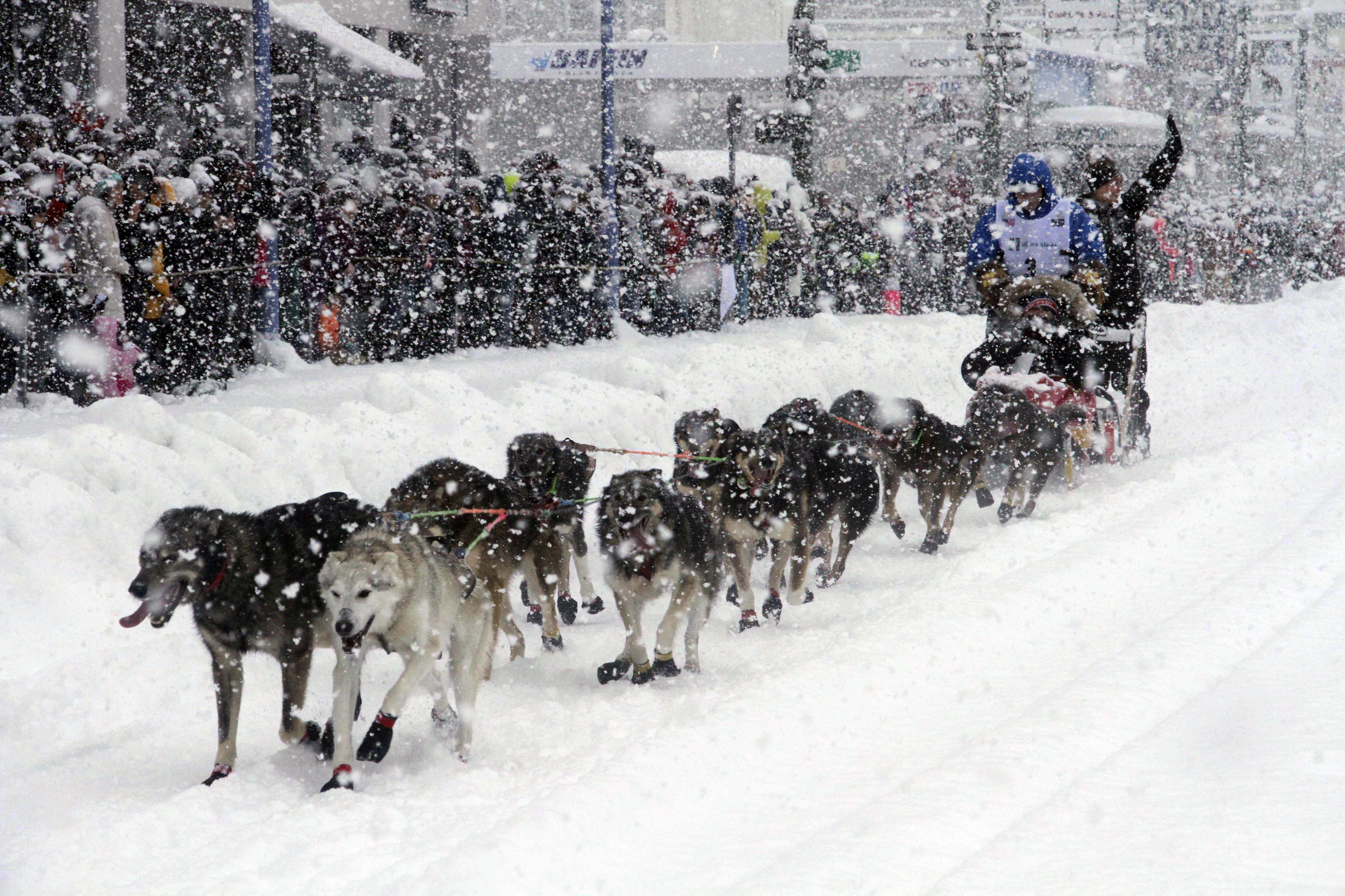 Deke's 2020 Iditarod Sled Dog Race!!! Custom Ink Fundraising