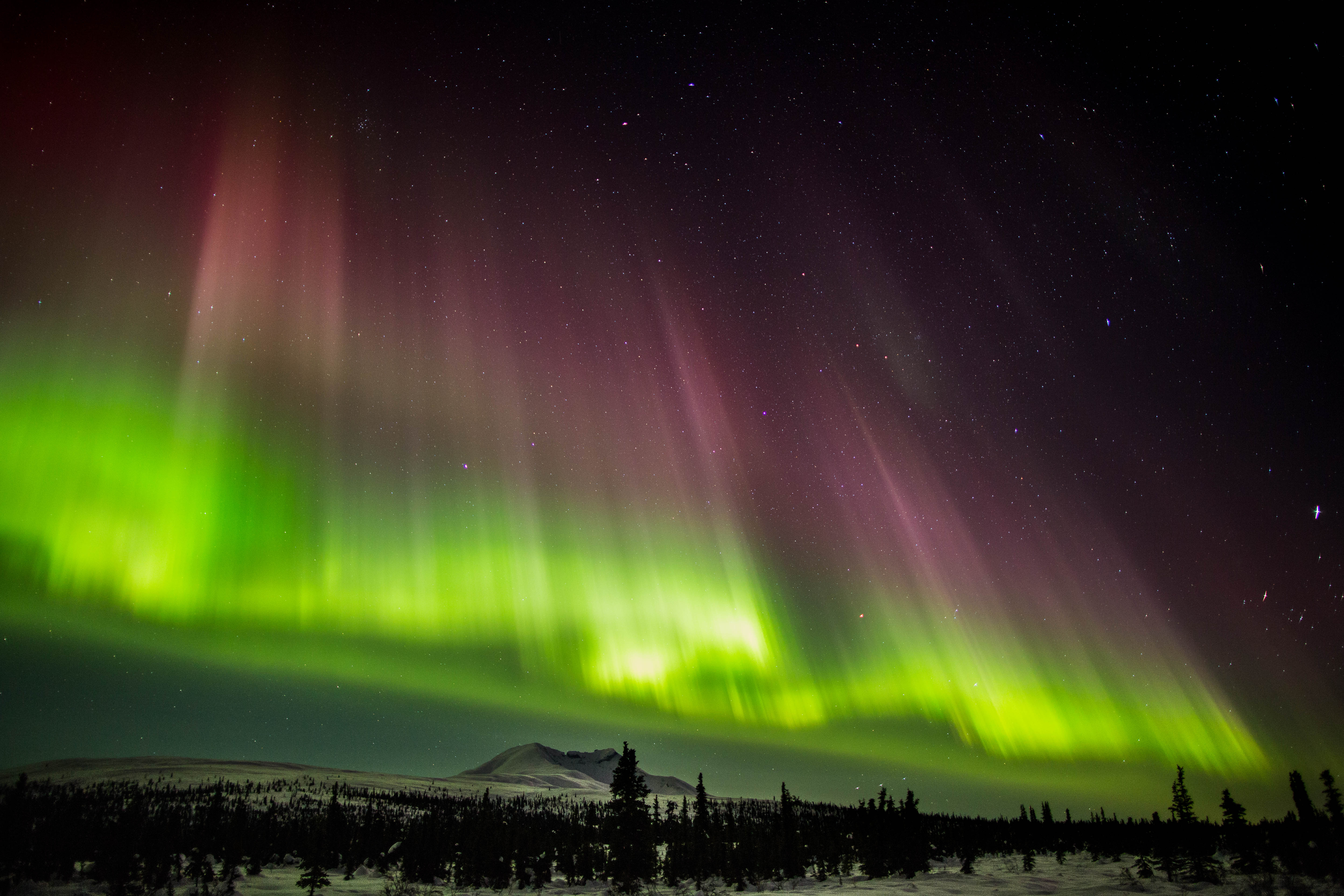 Rus talabalari pornoni nishonlaydilar