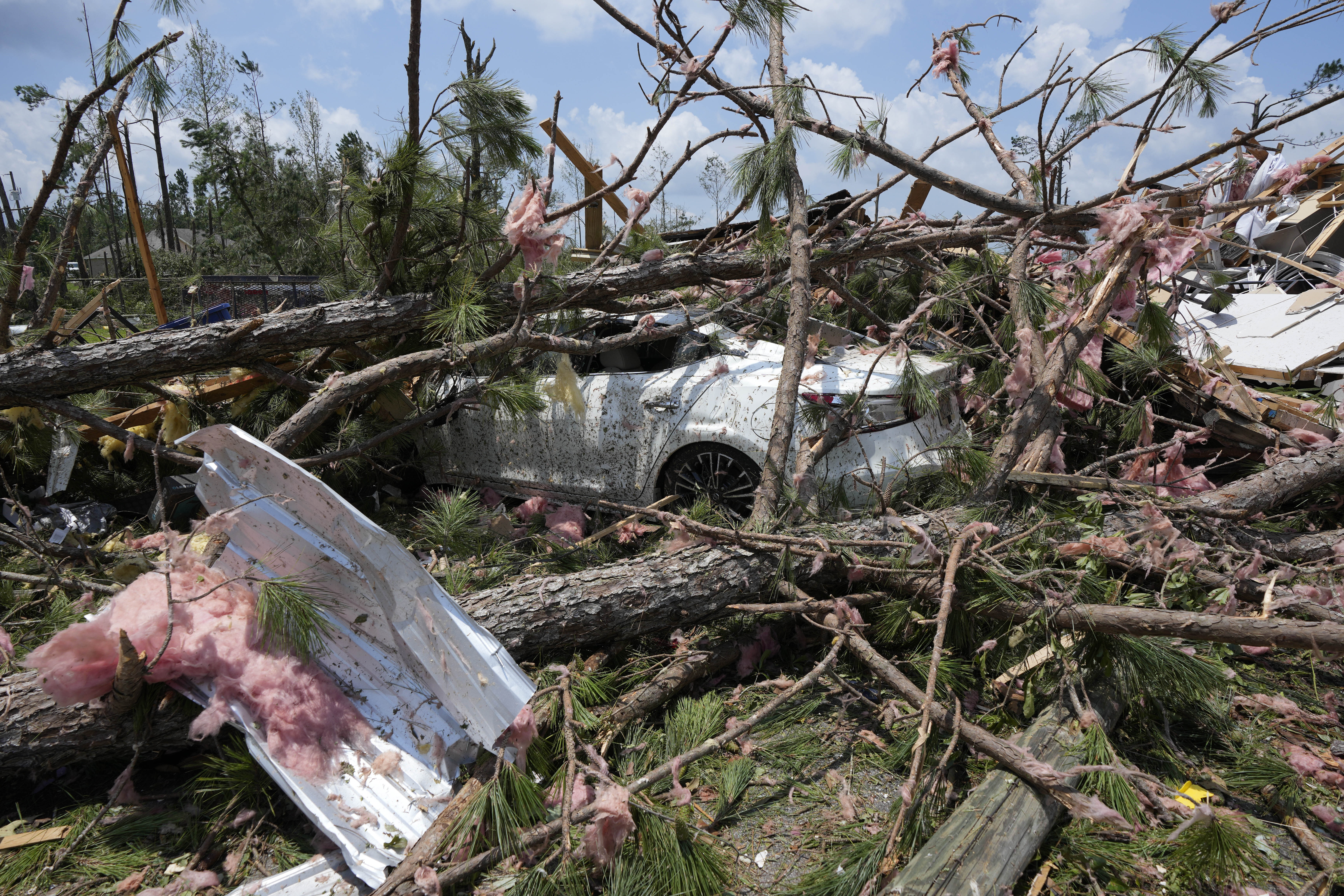 トップス Julius tornado cut and saw Amazon.com: Noah Jigsaw Puzzle Tornado and Supercell Storm