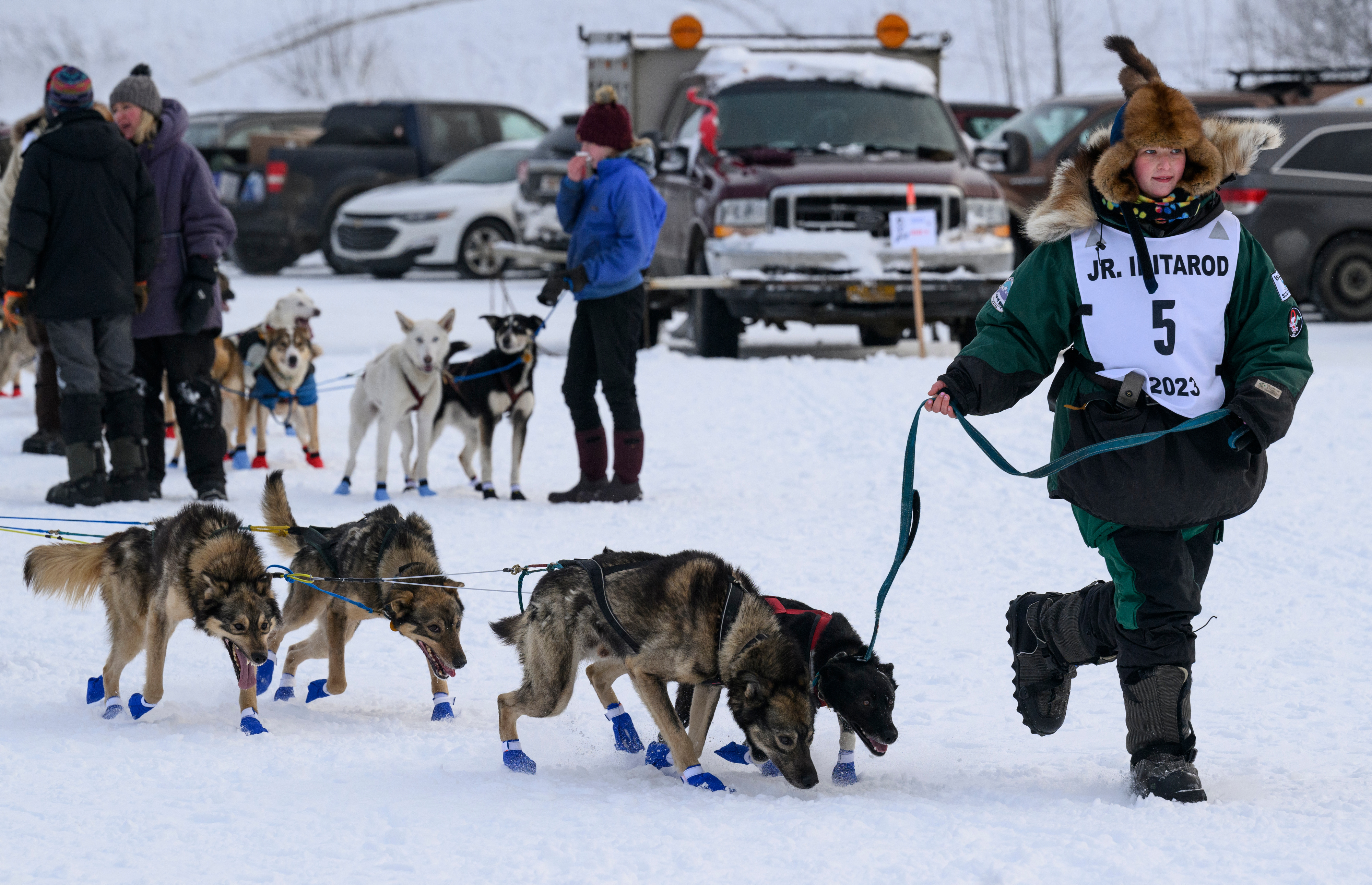 Robinson Racing Sled Dogs