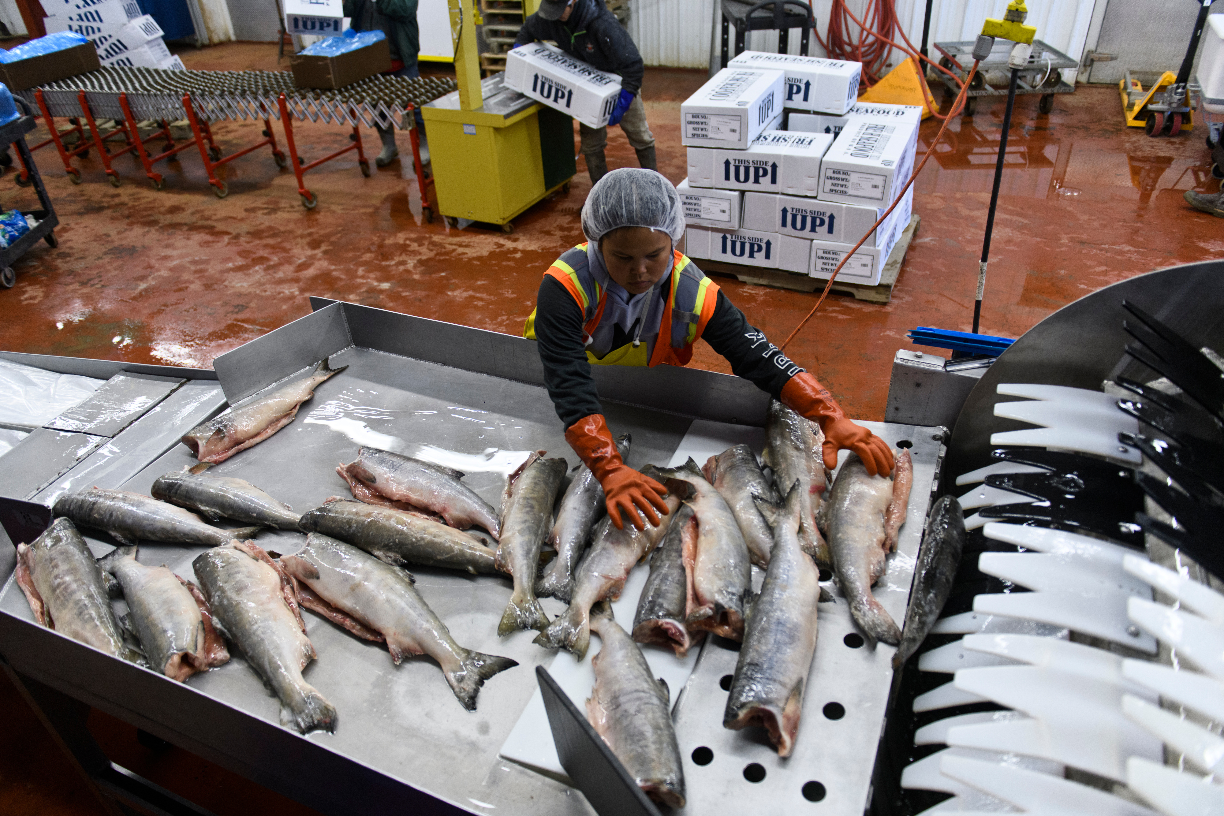 1 million pounds and counting: Recycling fishing nets and lines takes off  in Alaska coastal communities - Anchorage Daily News