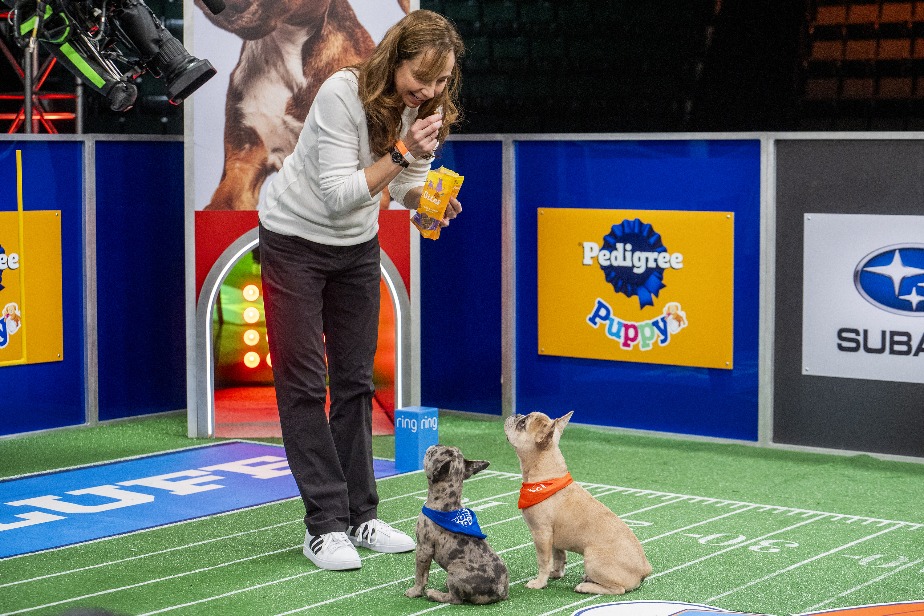 Meet the woman keeping the adorable pups happy at this year's