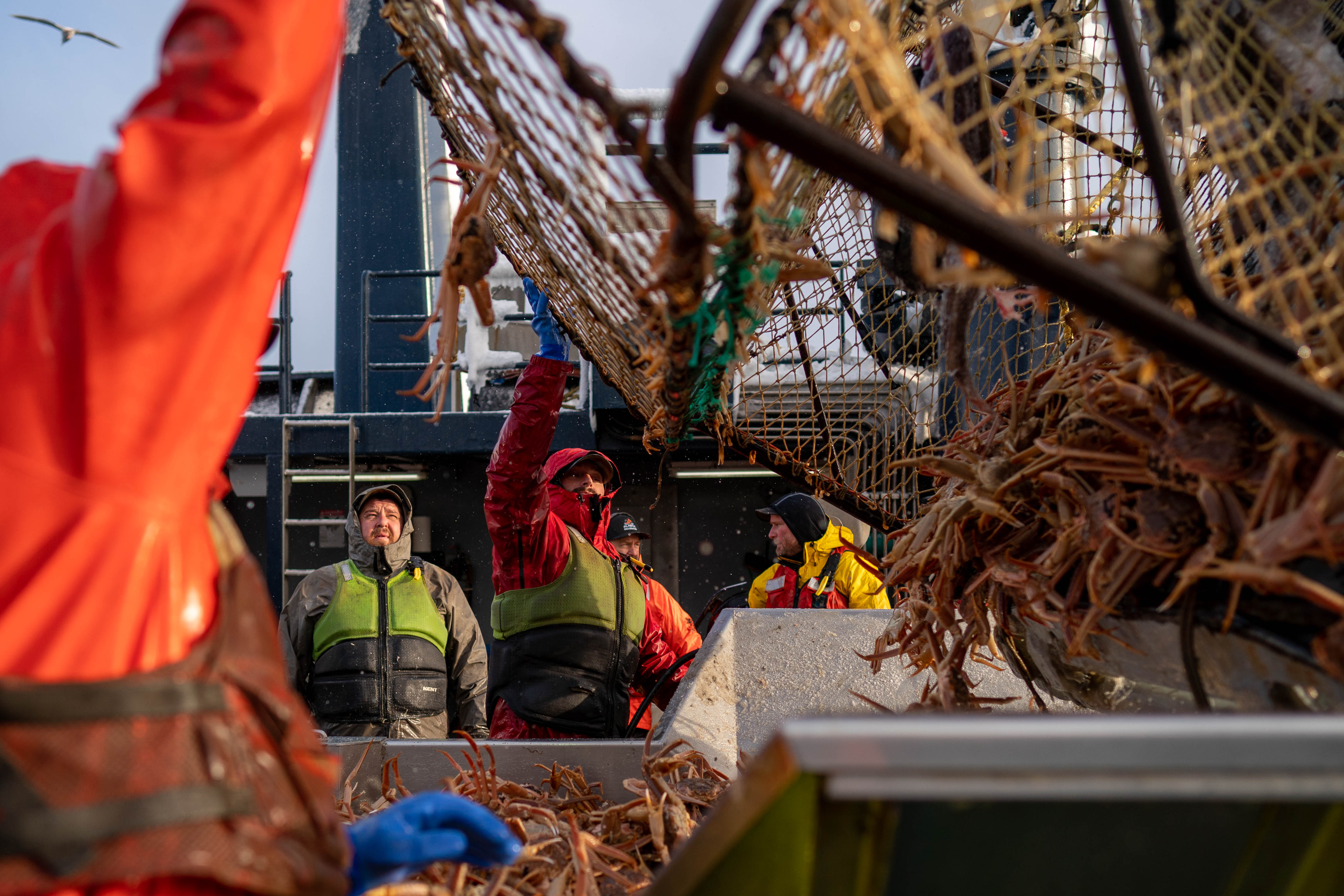 A Crab Boat's Quest for Snow Crab in a Bering Sea Upended by Climate Change