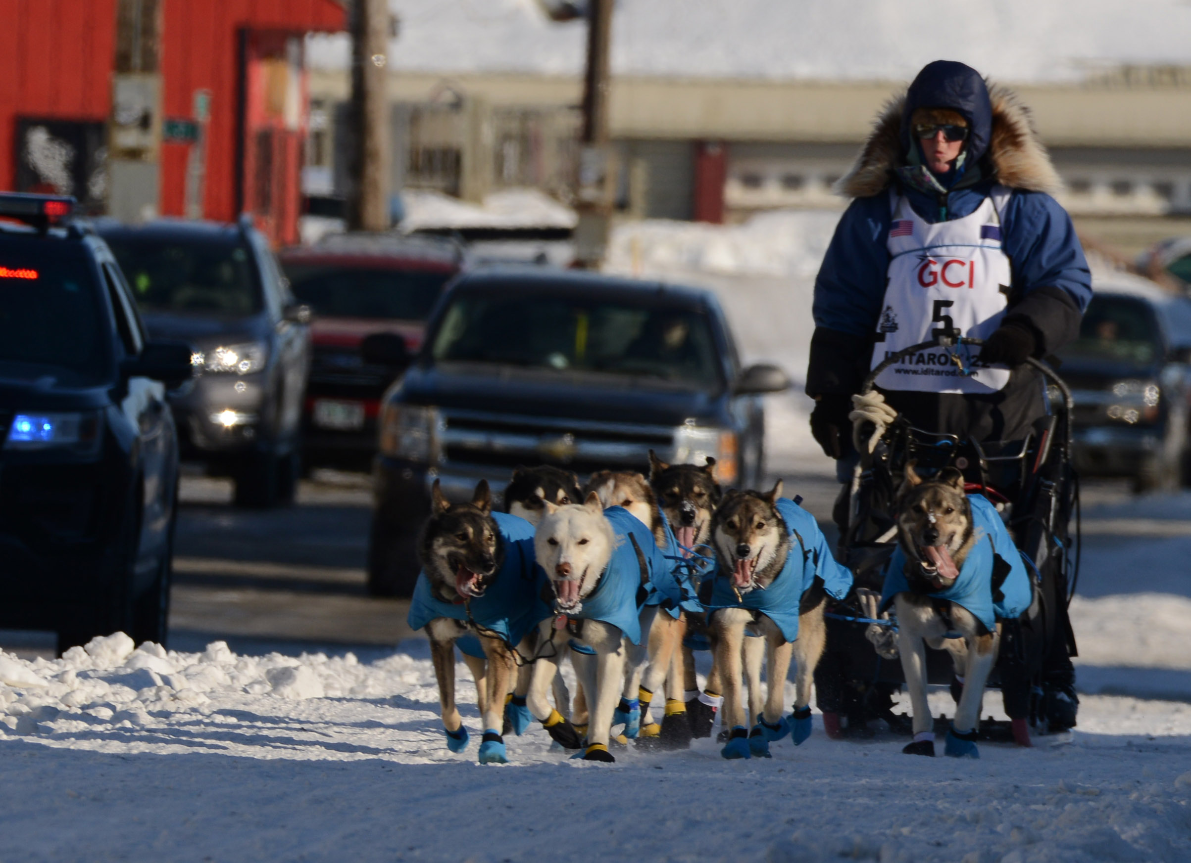 Deke's 2020 Iditarod Sled Dog Race!!! Custom Ink Fundraising