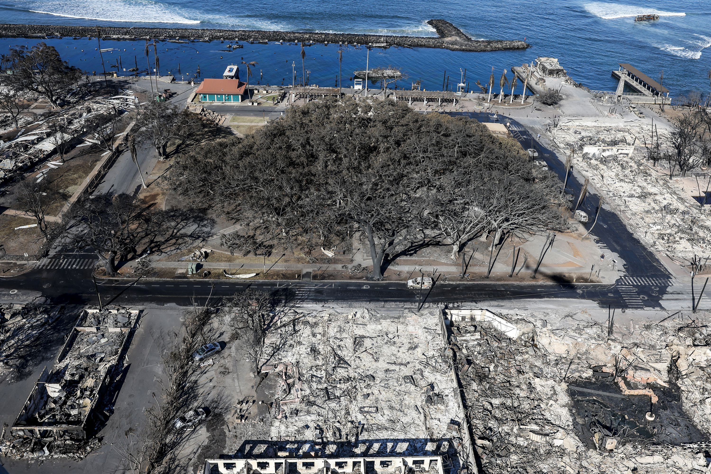 Anatomy of a monster: Maui fire seemed under control. Then it