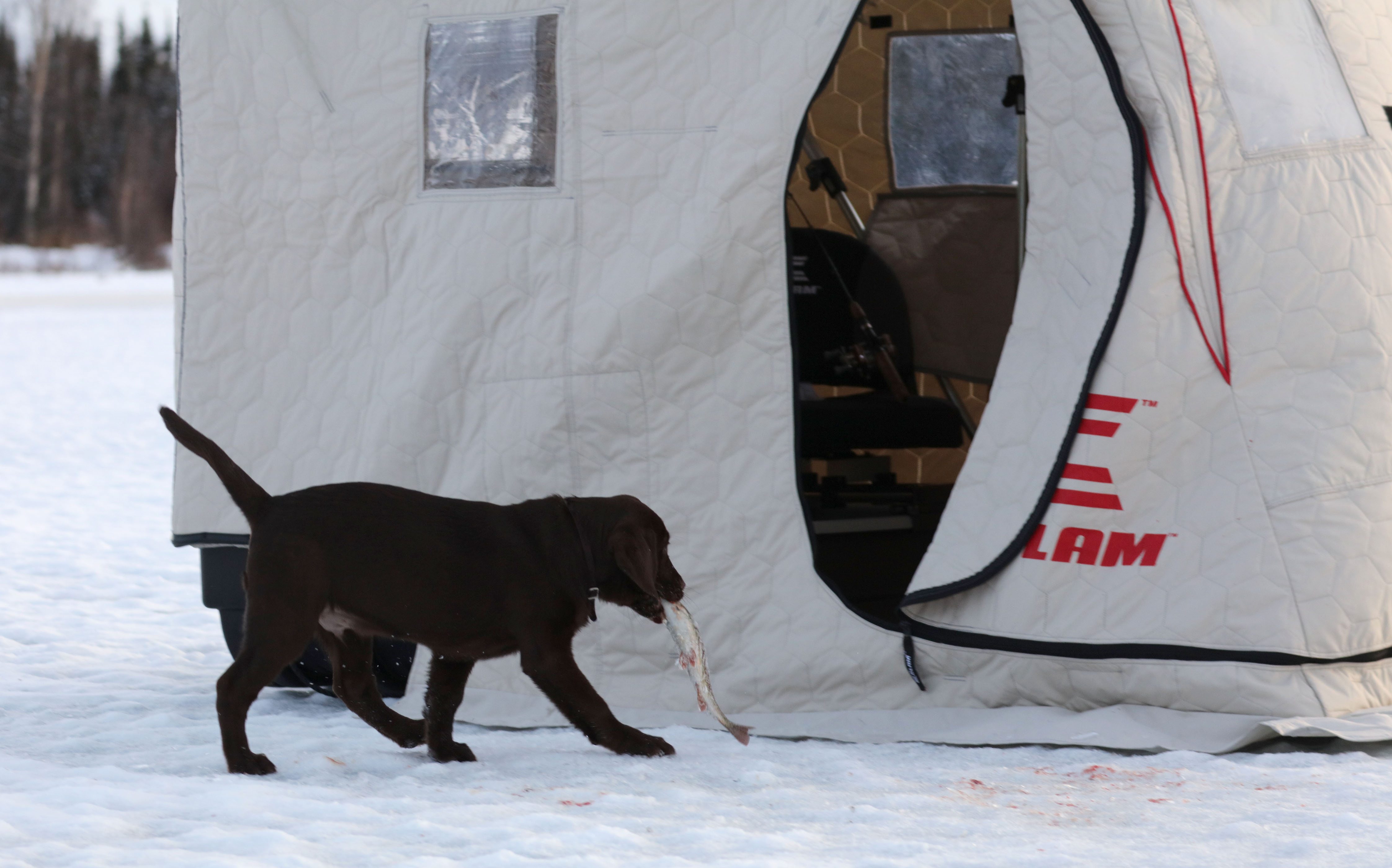 Can You Sleep in a Ice Fishing Shelter? - Trickyfish