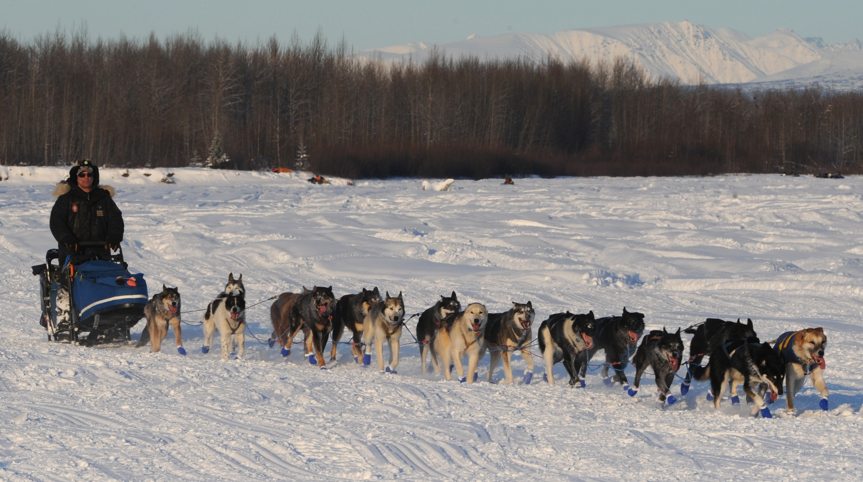 Hugh neff withdrawl deals from iditarod 2019