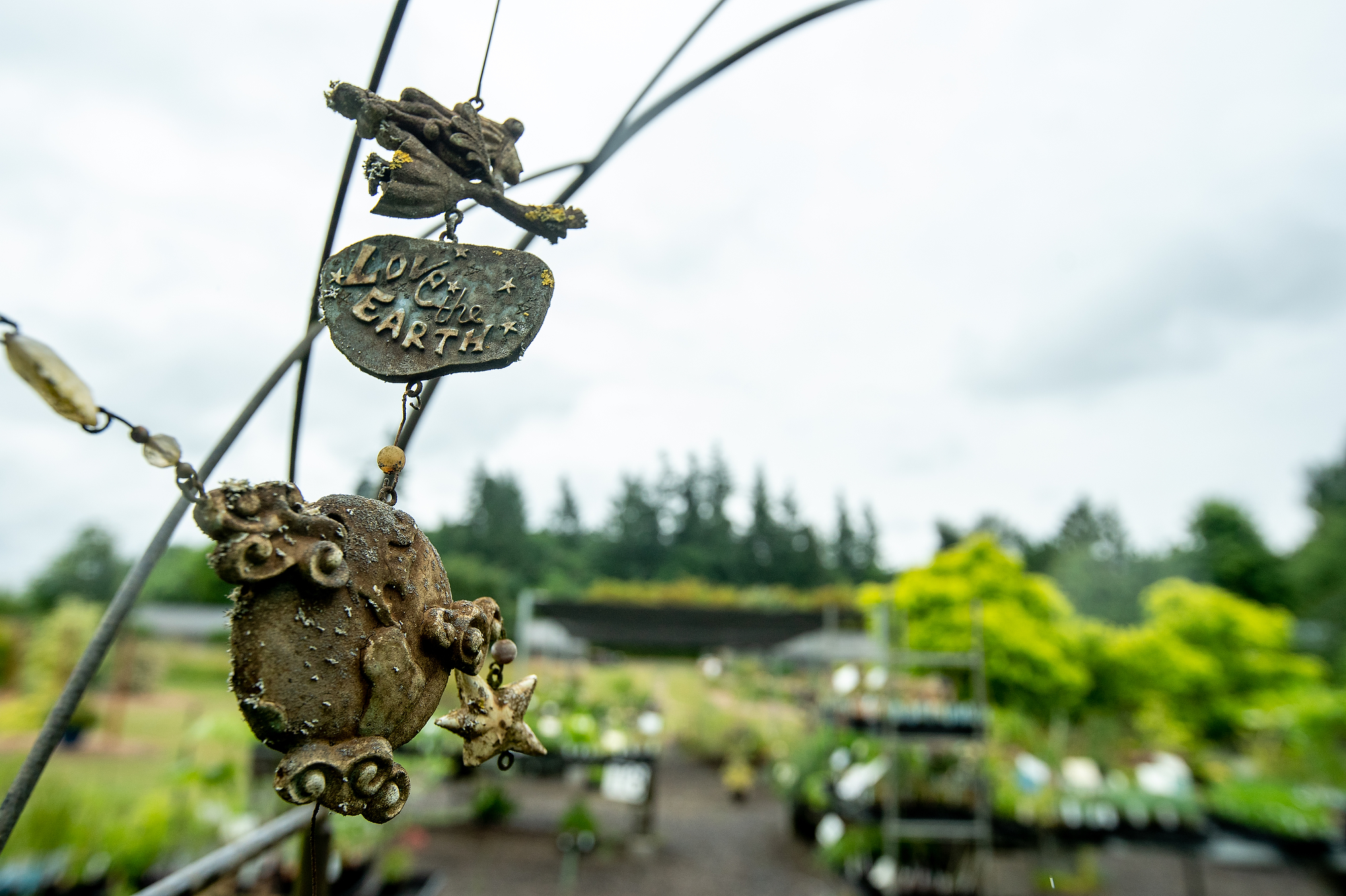The Secret Garden Growers plant nursery in Canby