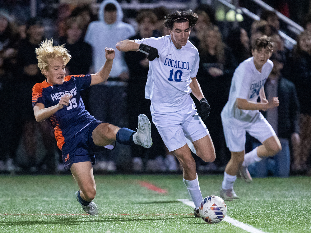 Hershey captures the 2022 D3, Class 3A boys soccer championship ...