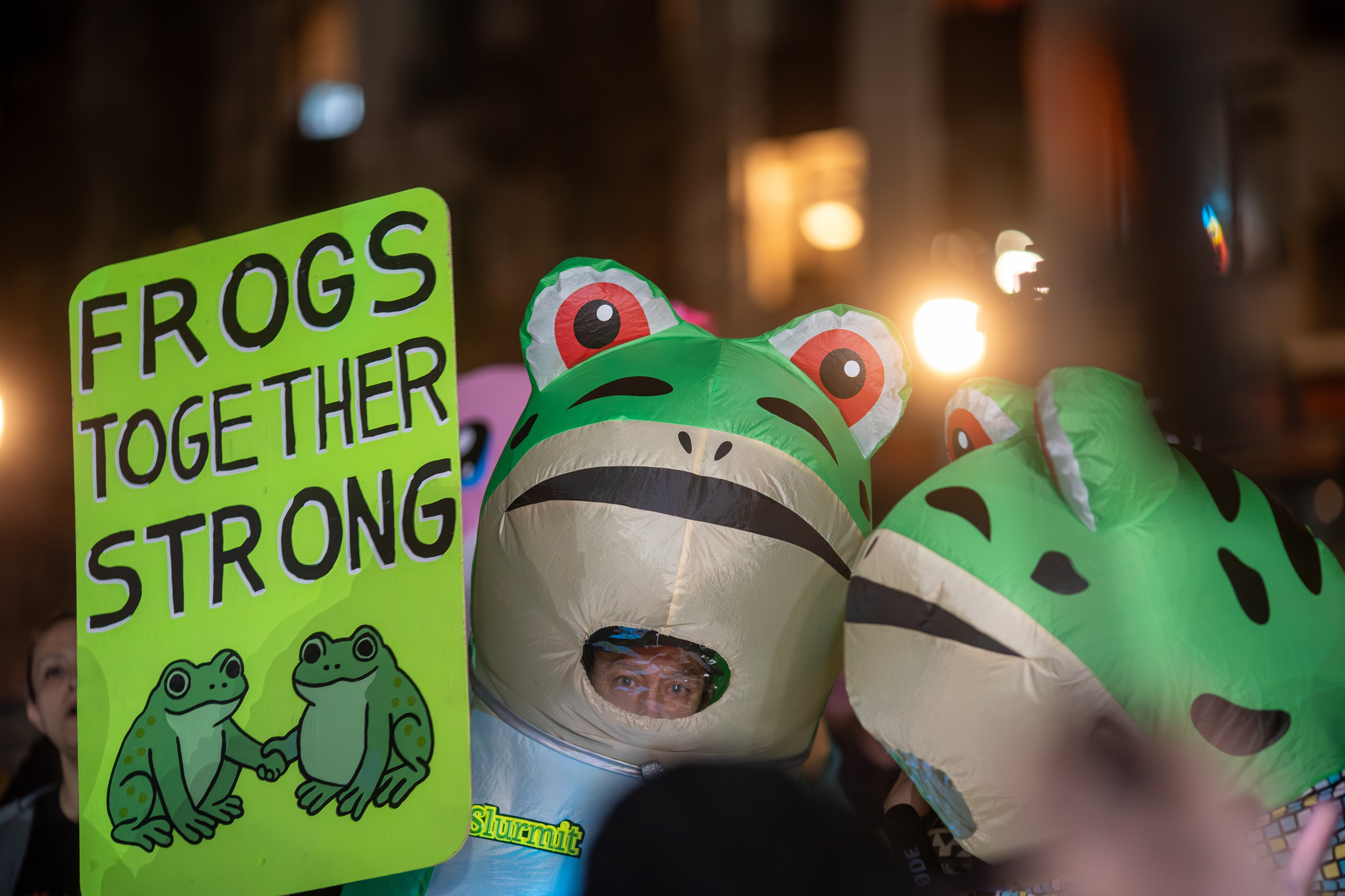 Frog Brigade closes day of protests at ICE building - oregonlive.com