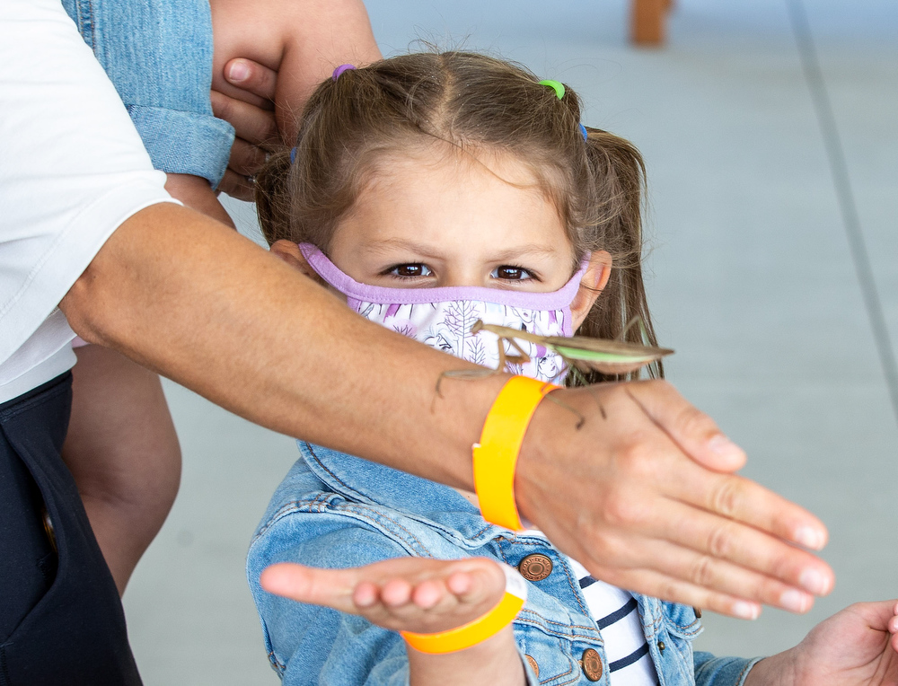 Bug O’Rama at Hershey Gardens - pennlive.com