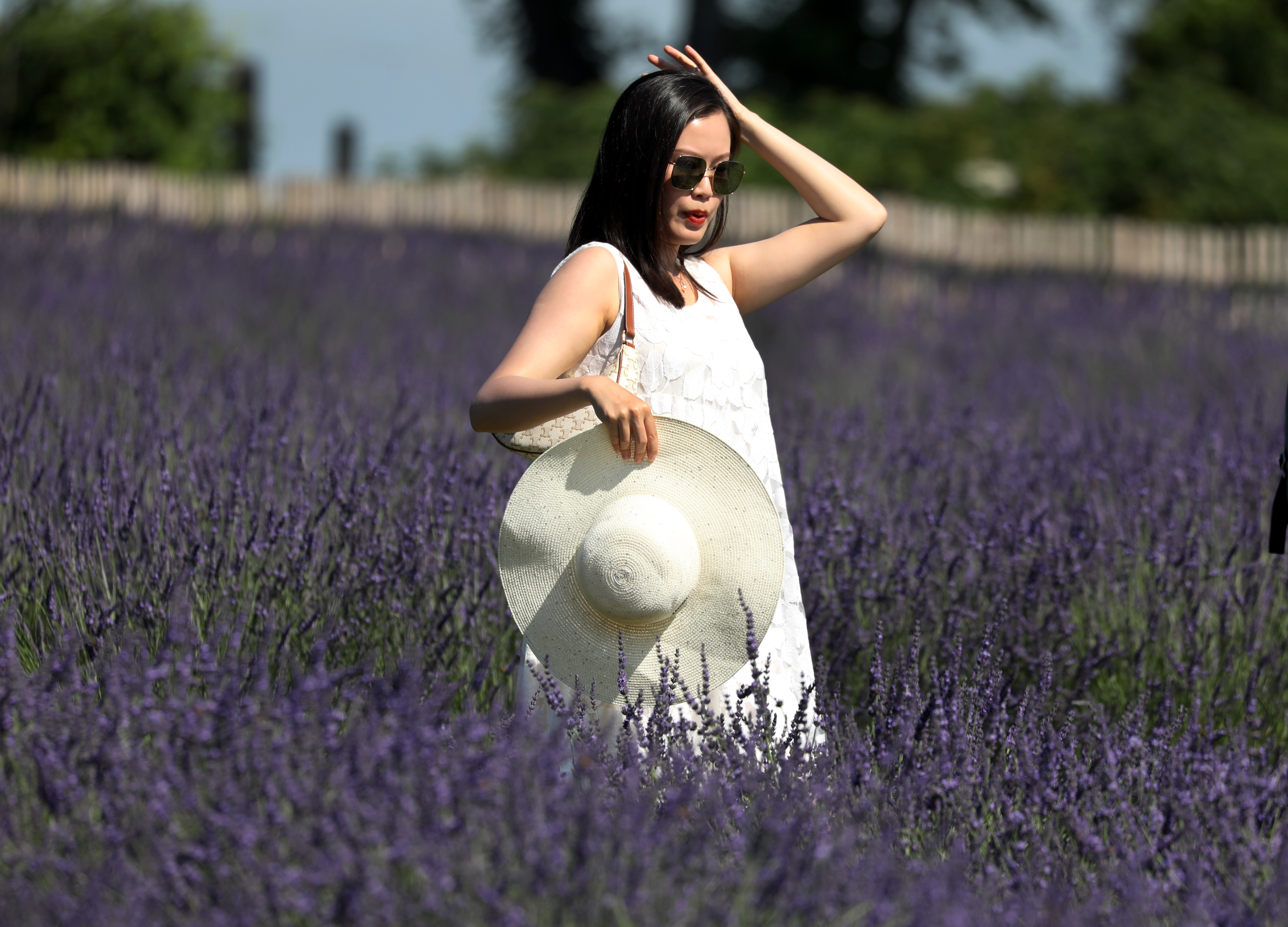 Selfies grow in lavender garden - nj.com