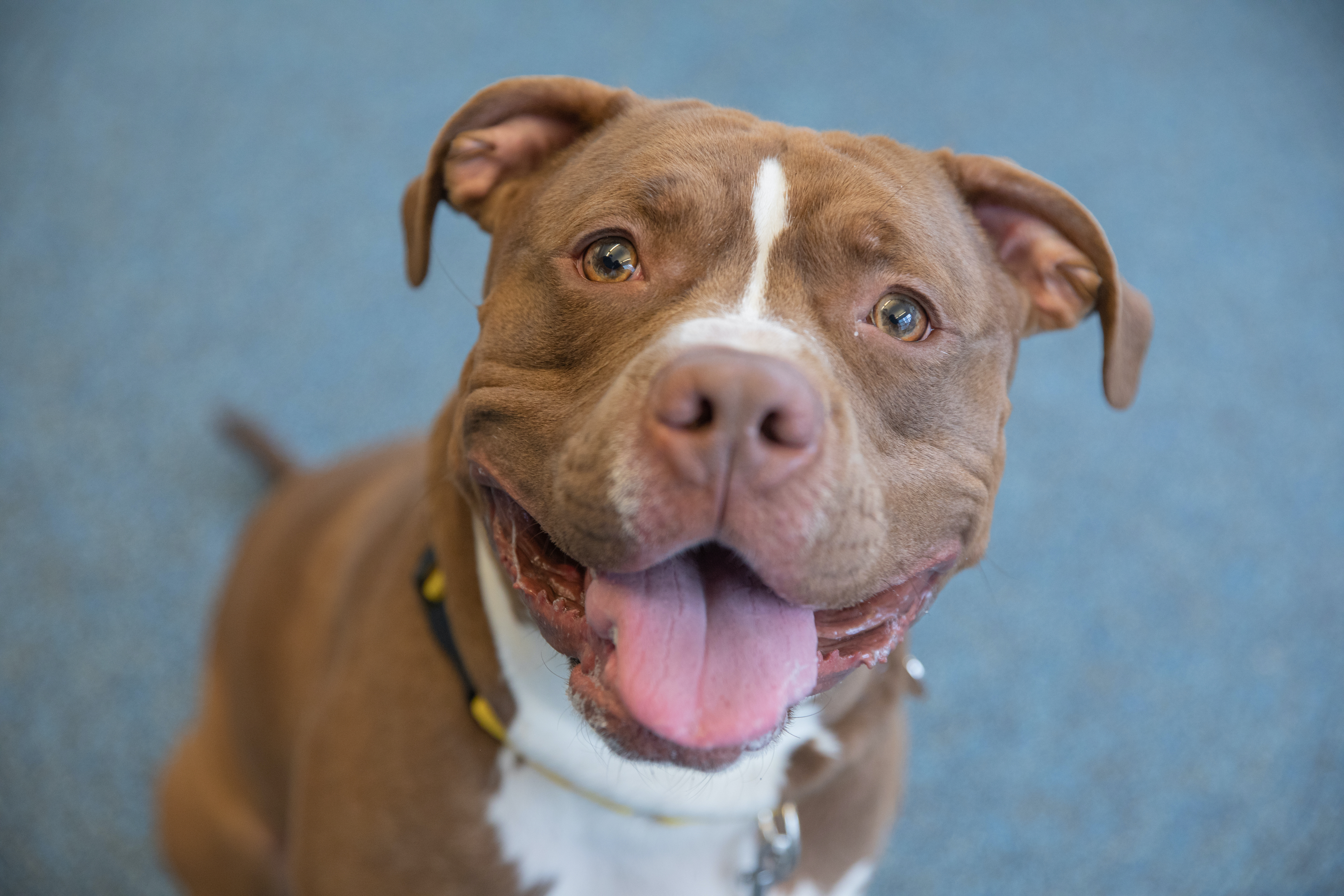 Spring is days away, and the excitement is real. Enjoy those walks with ...