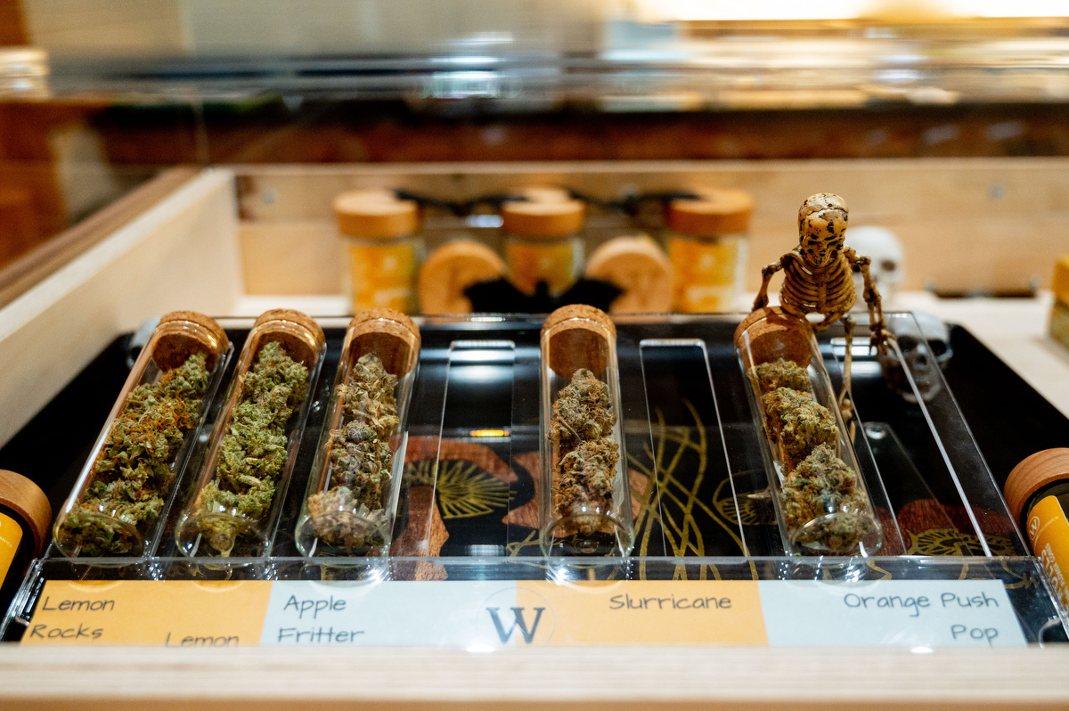 Winewood Organics is Ann Arbor's first marijuana microbusiness