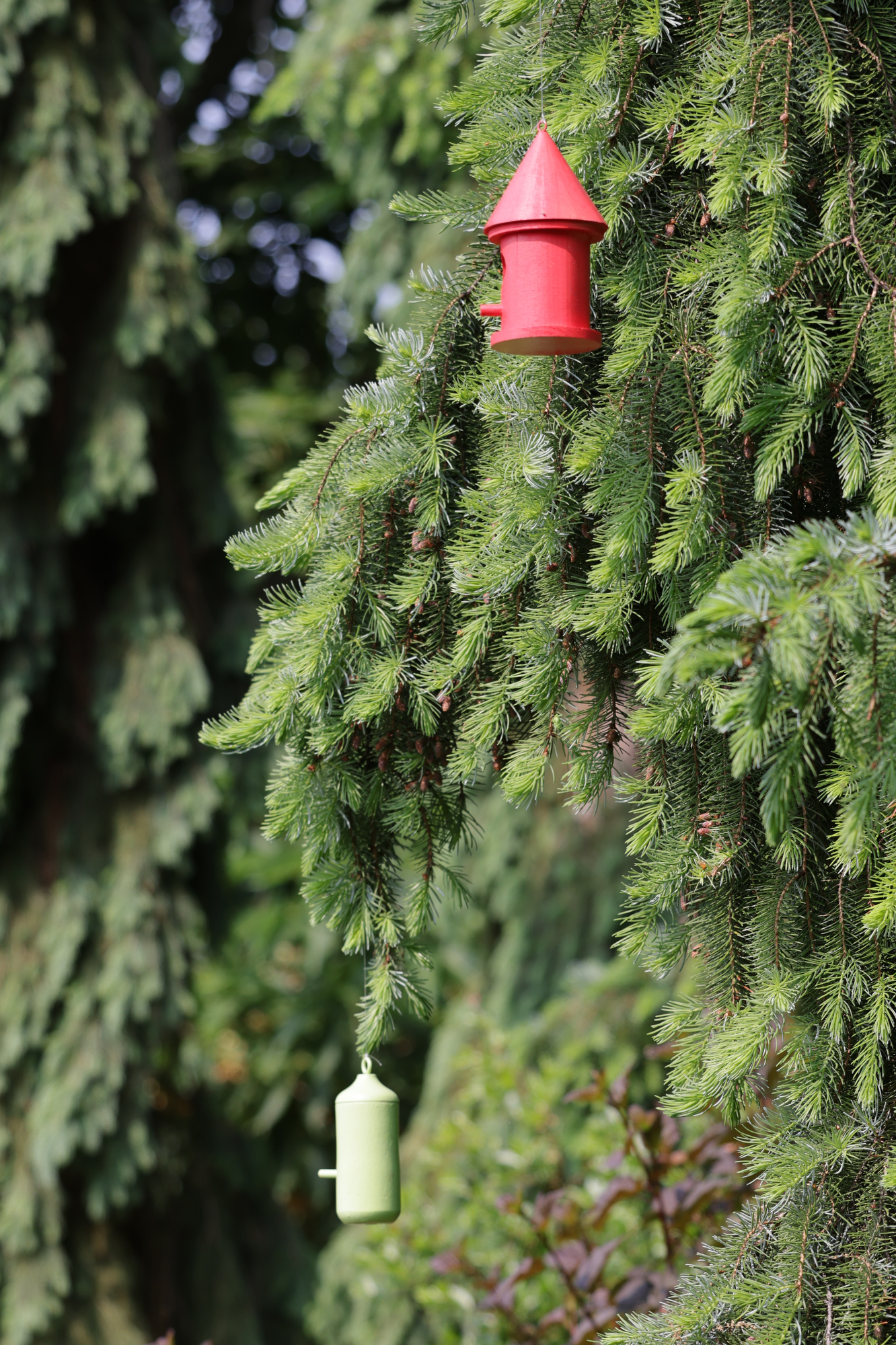 "BLOOM! Botanicals & Birdhouses" at the Cleveland Botanical Garden