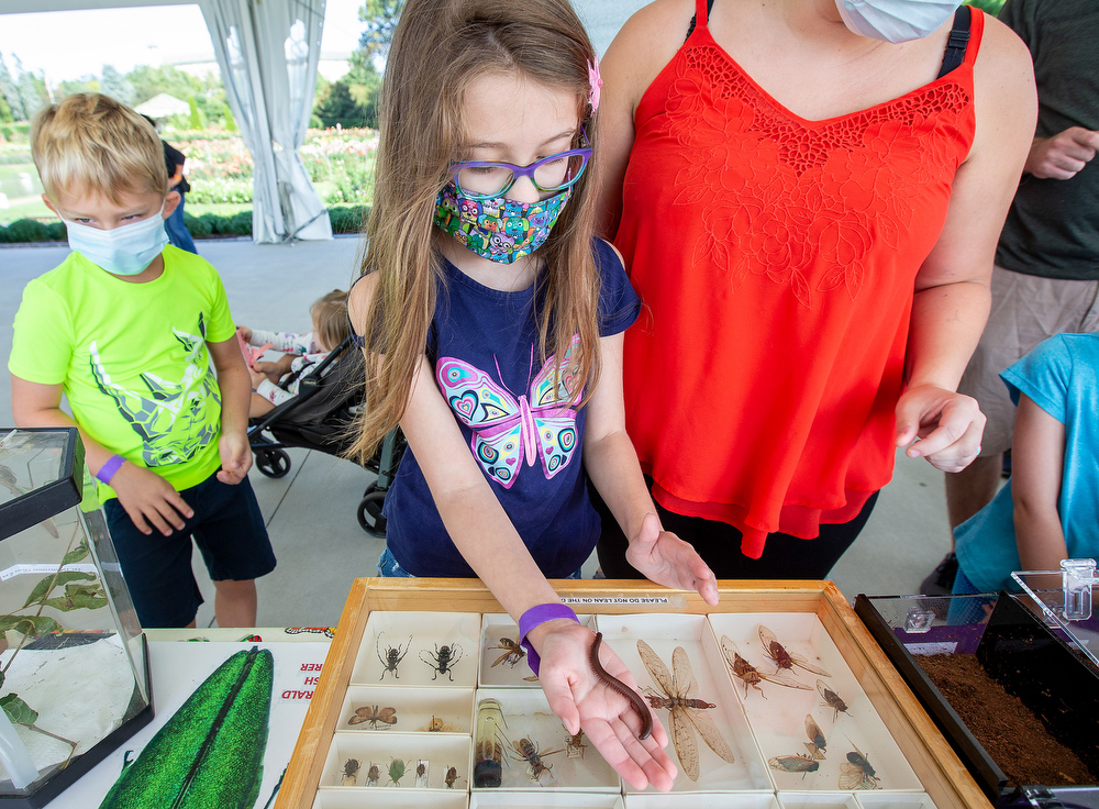 Bug O’Rama at Hershey Gardens - pennlive.com