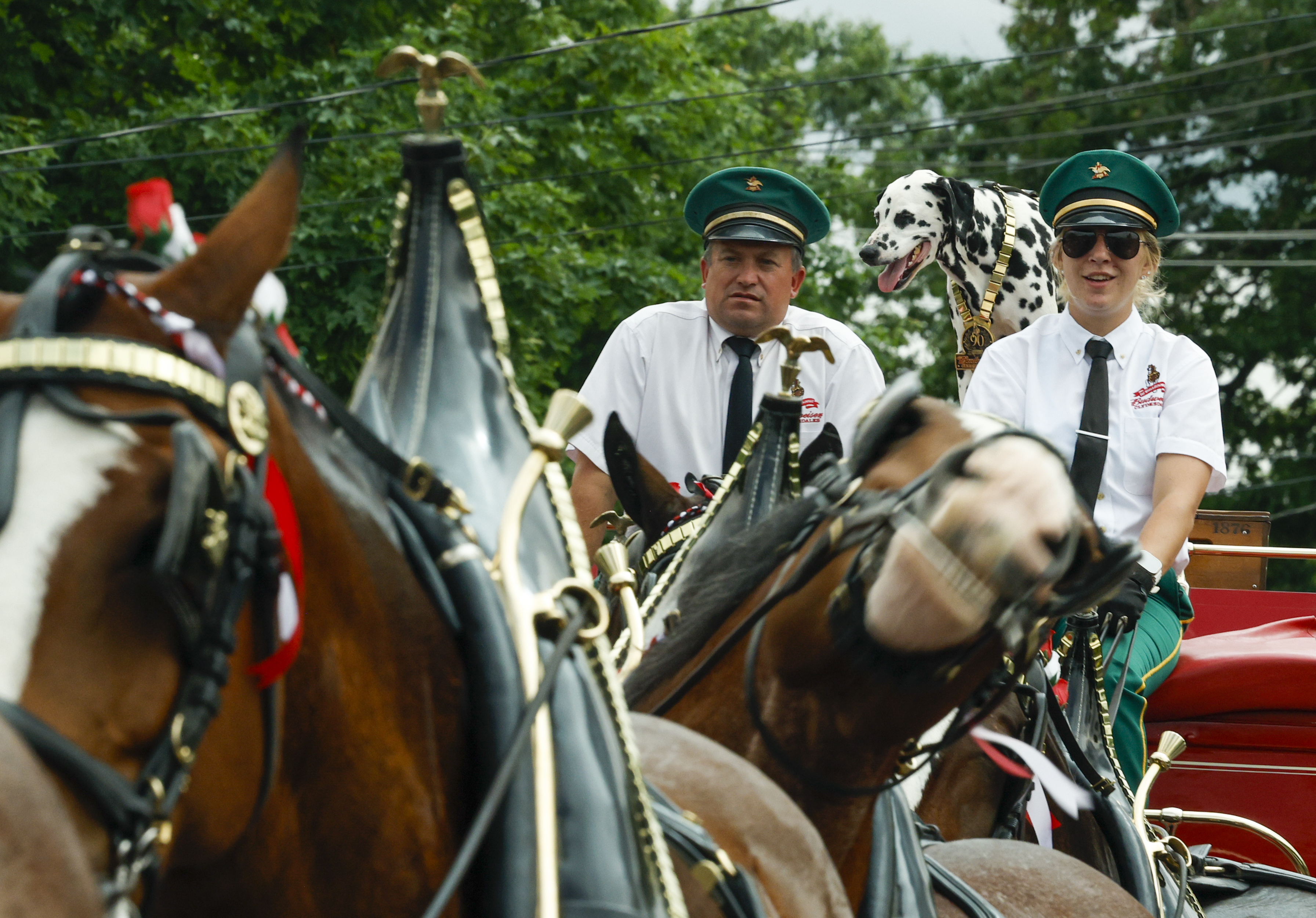 Budweiser Clydesdales headed to South Point ahead of race day