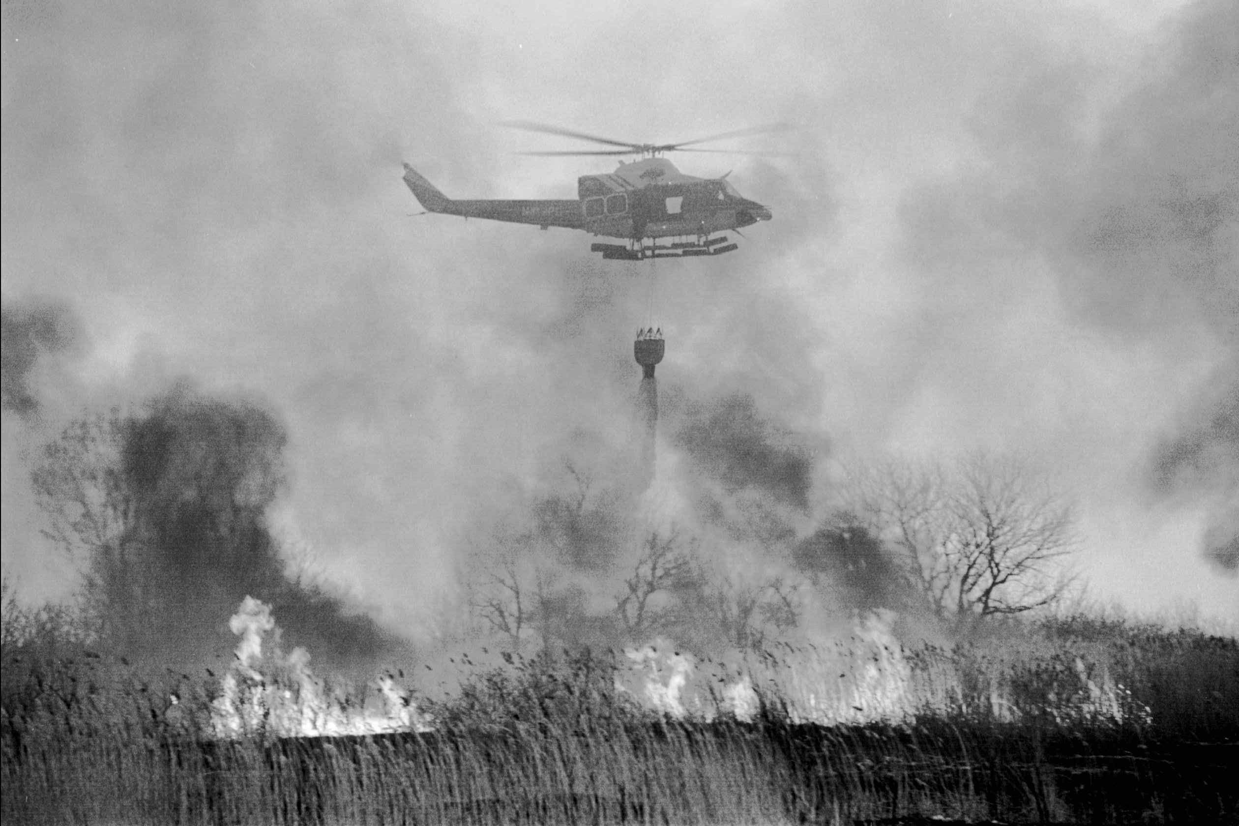 Great Kills Park Then and now