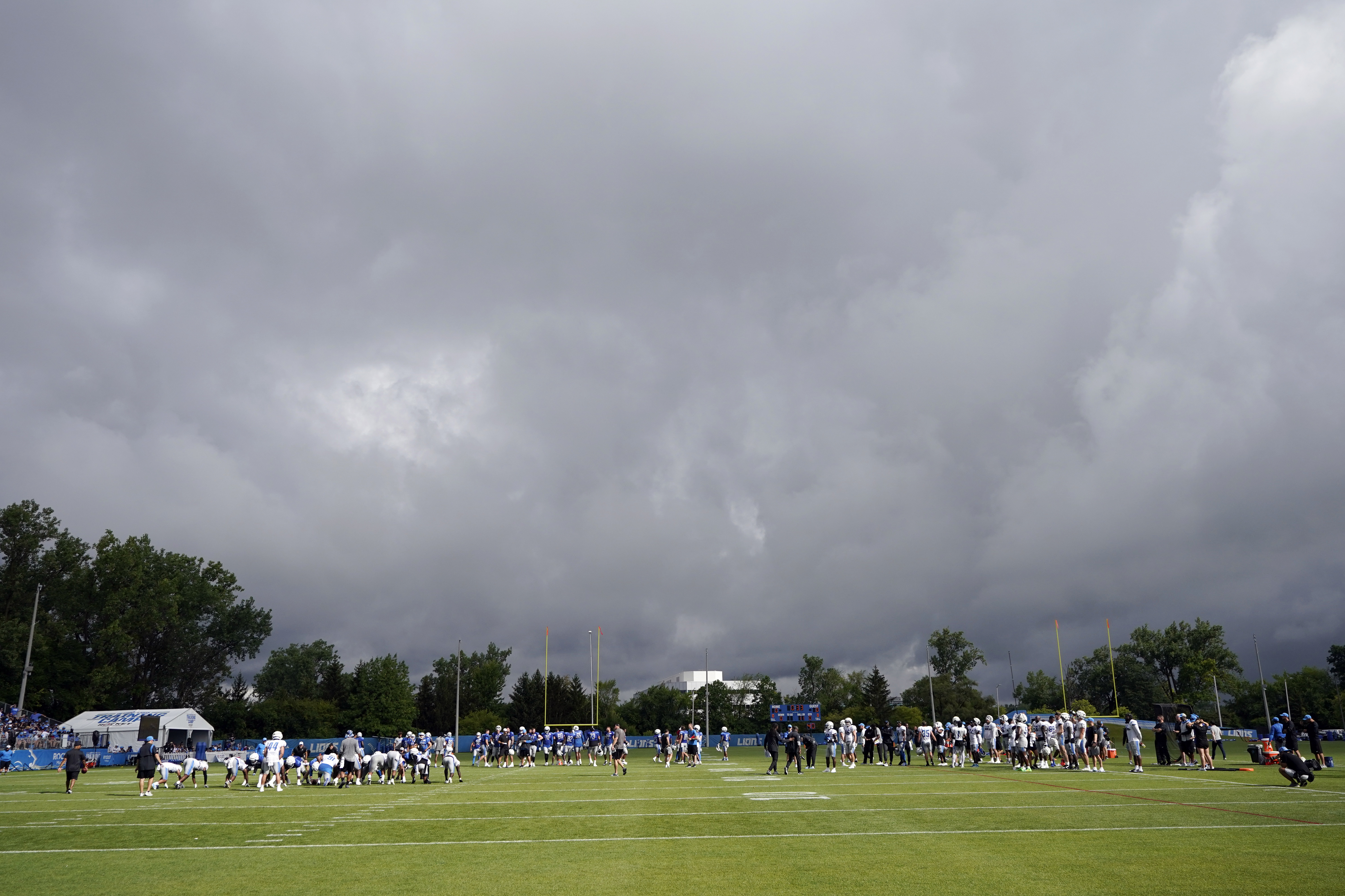 Detroit Lions' coach Dan Campbell wants a pet lion at practice 